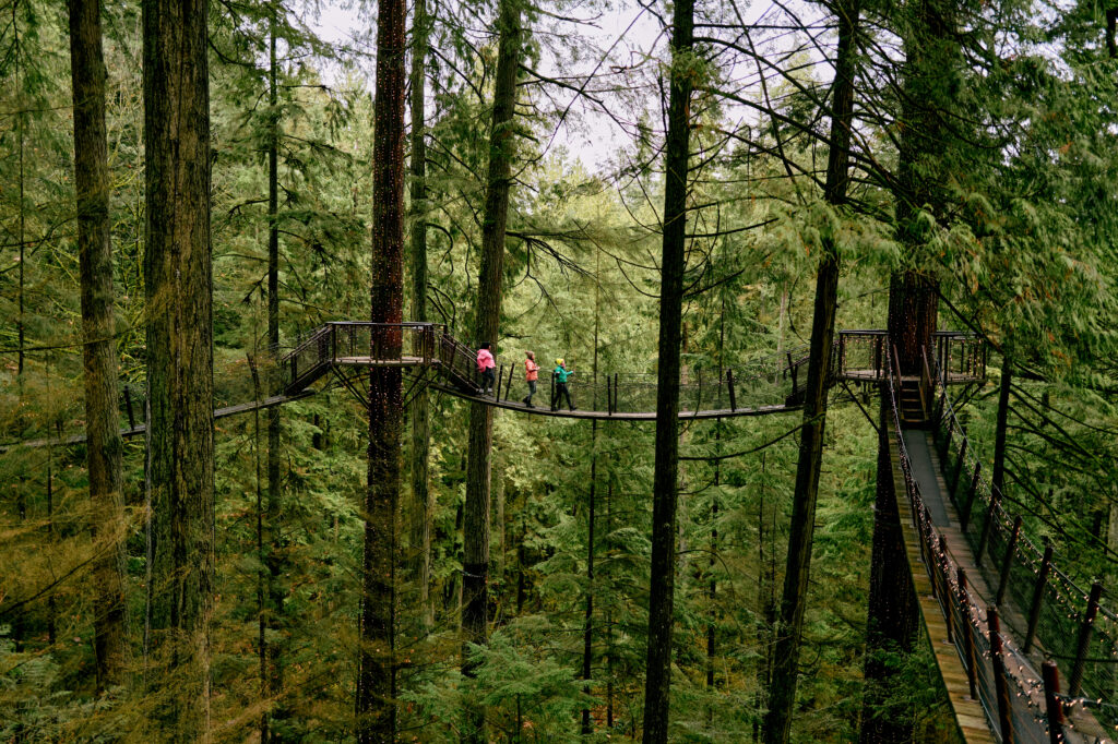 Capilano Suspension Bridge, credit - Destination Vancouver