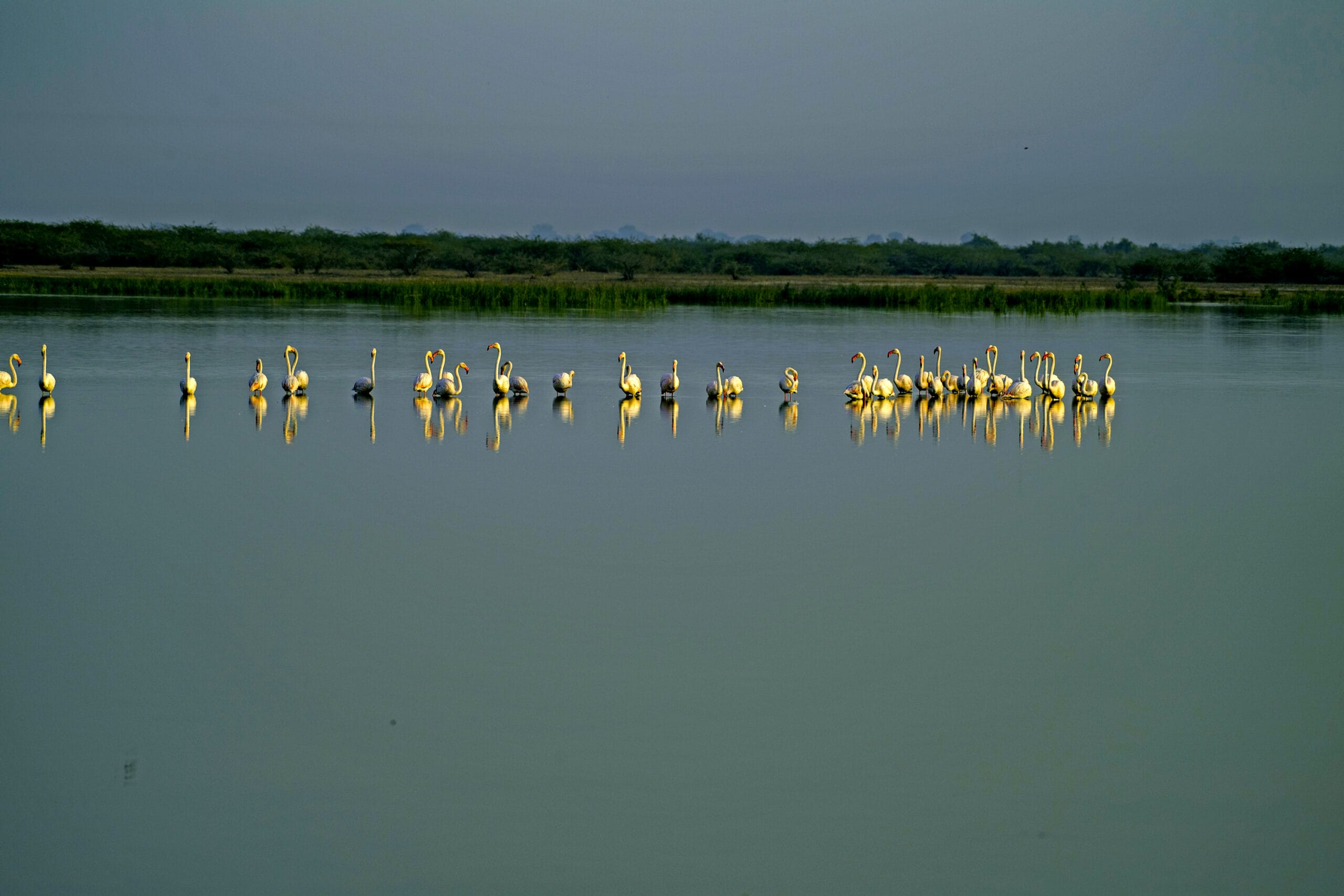 Into the wild: discover India’s untamed luxury