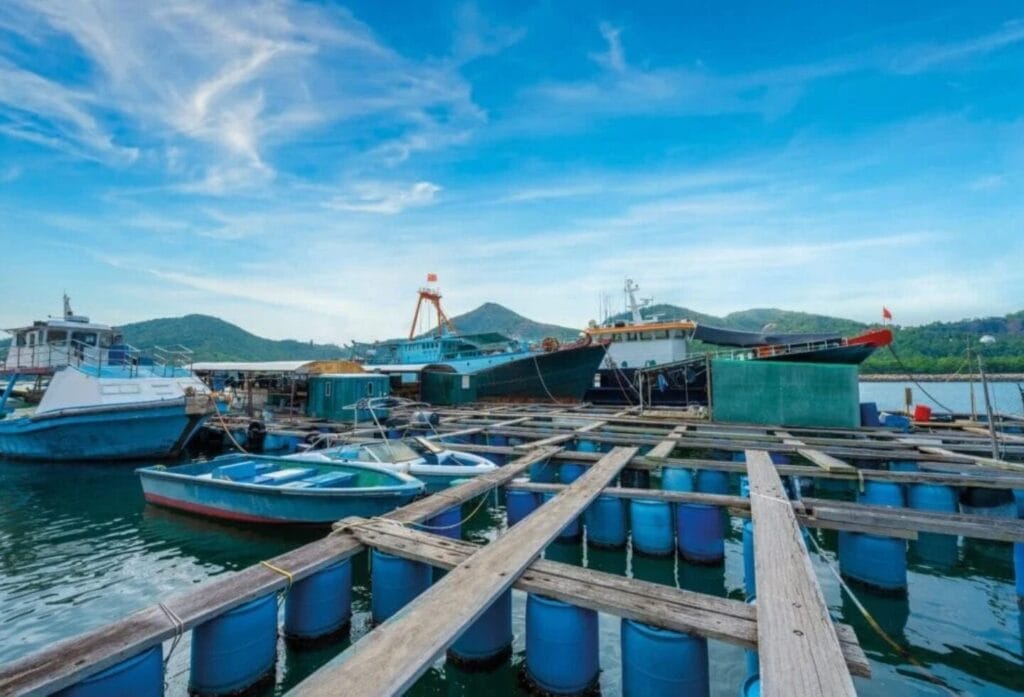 Fishing boats in the coastal waters near Sok Kwu Wan on Lamma Island, Hong Kong