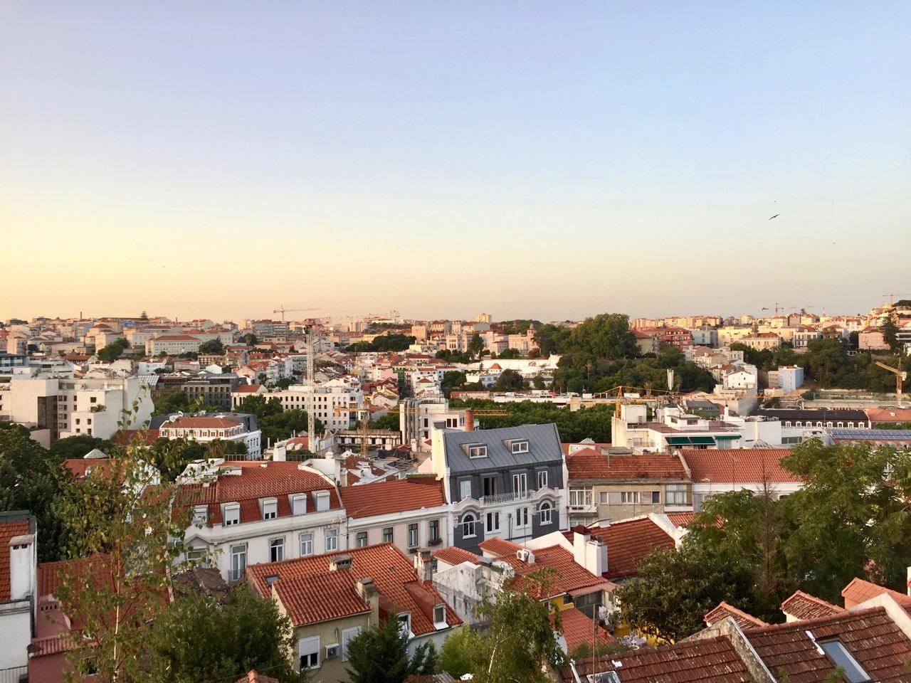 Lisbon Like a Local