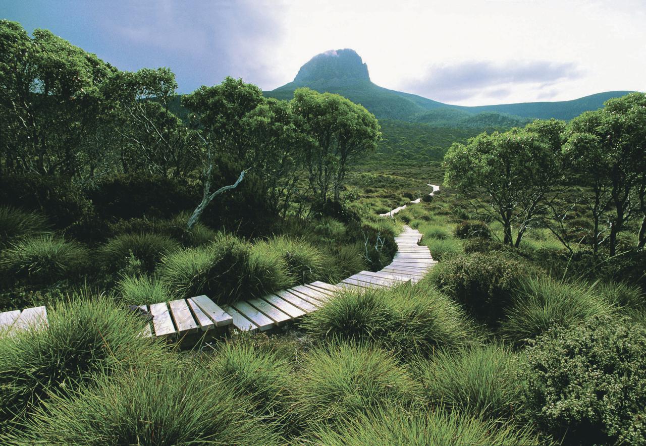 Tasmanian Walking Company – Cradle Mountain Huts Walk