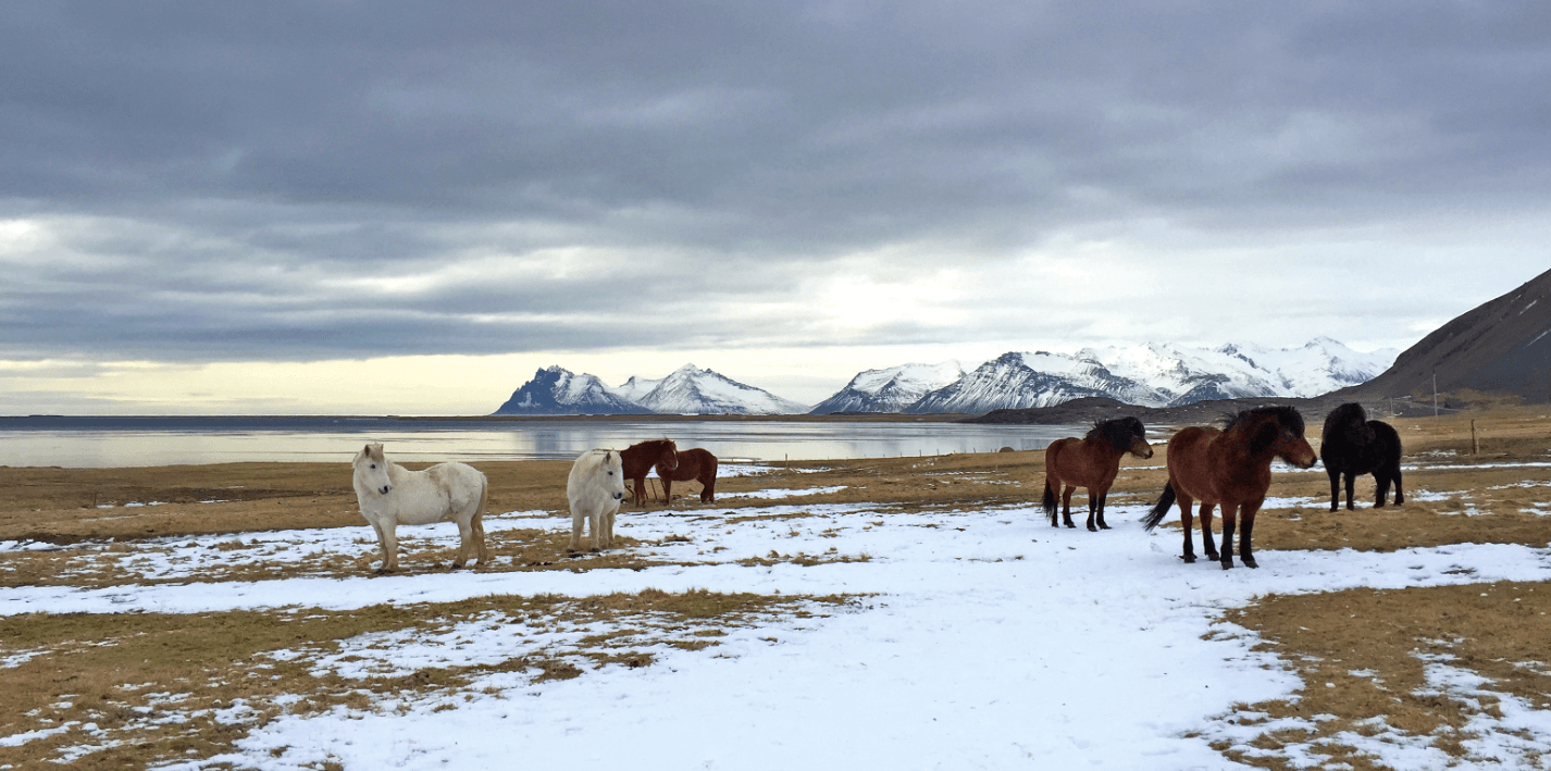 Six Senses Össurá Valley, Iceland