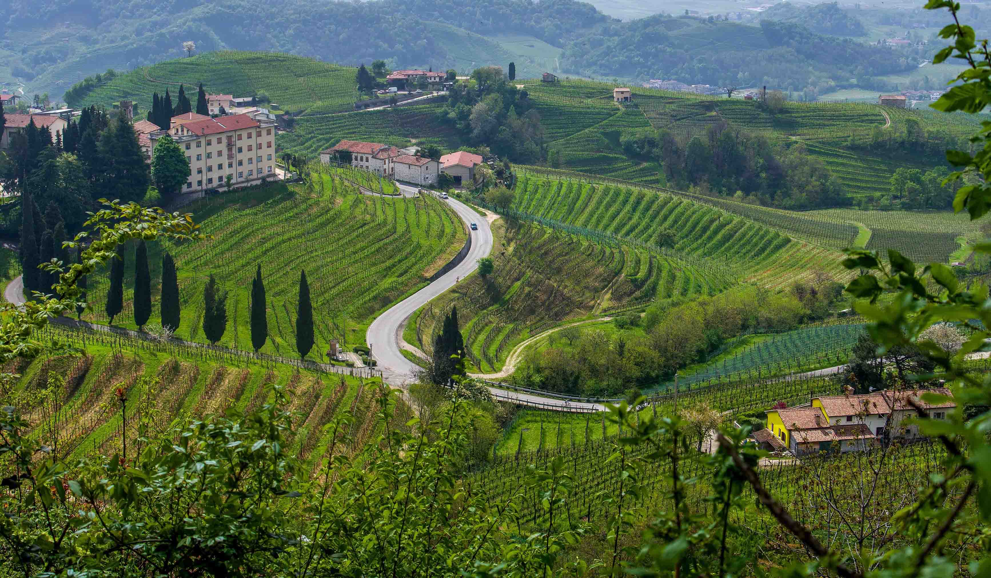 The Prosecco Hills