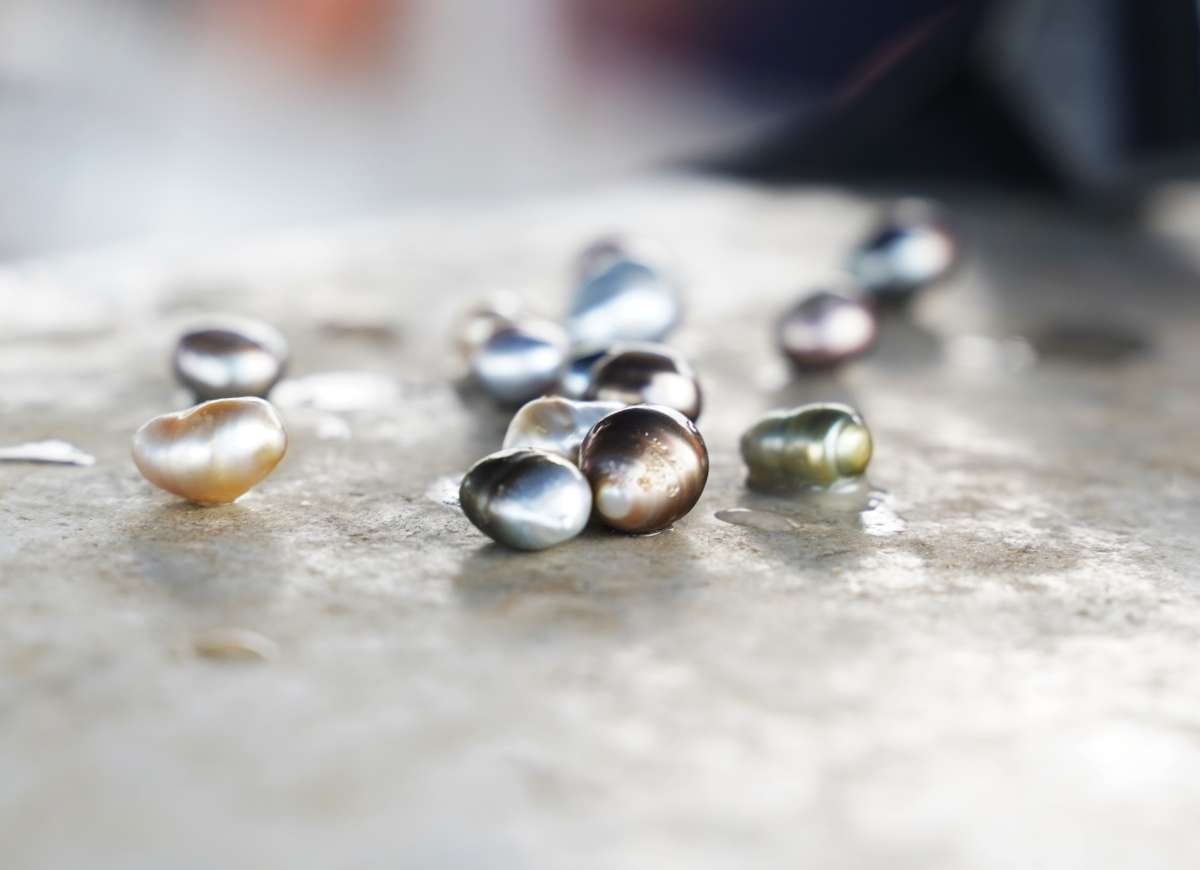 J. Hunter Pearls. Credit: Michelle Stubbs