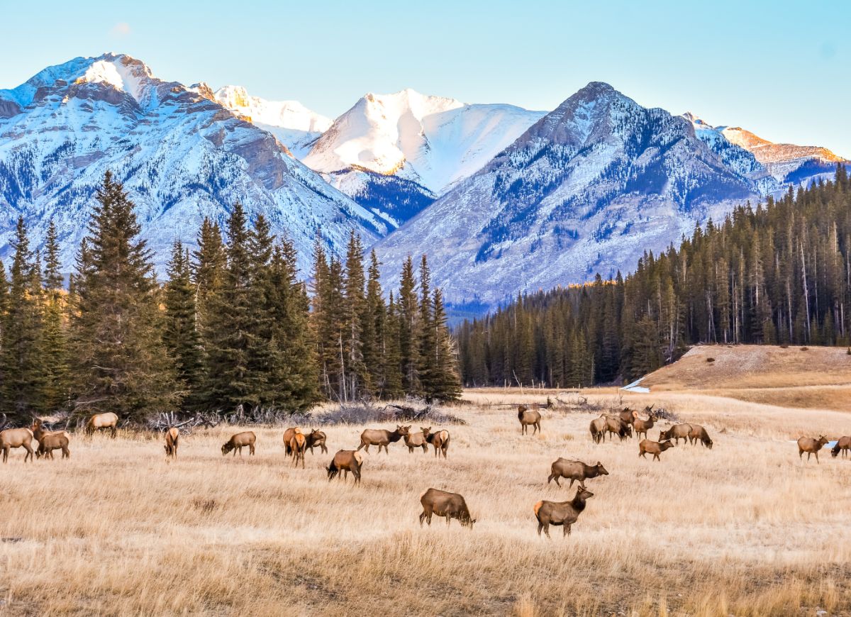 Alberta, Canada