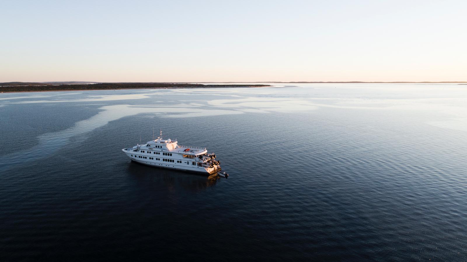 An Ocean Safari in Southern Australia