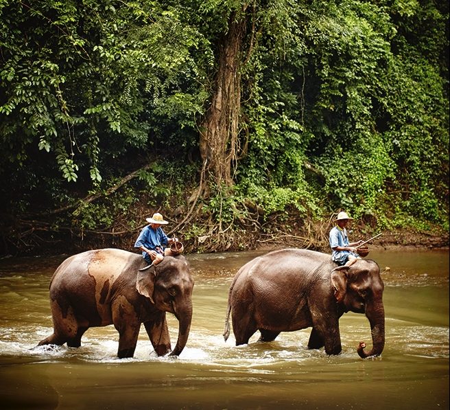 Chiang Mai: The Heart of Northern Thailand