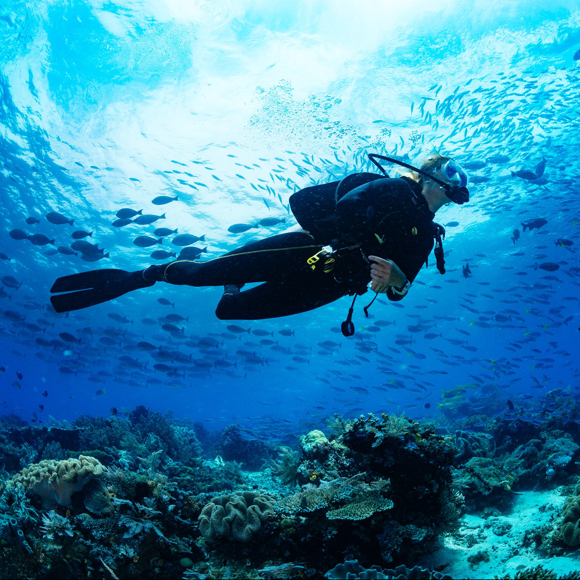 The 17 Best Scuba and Snorkel Destinations