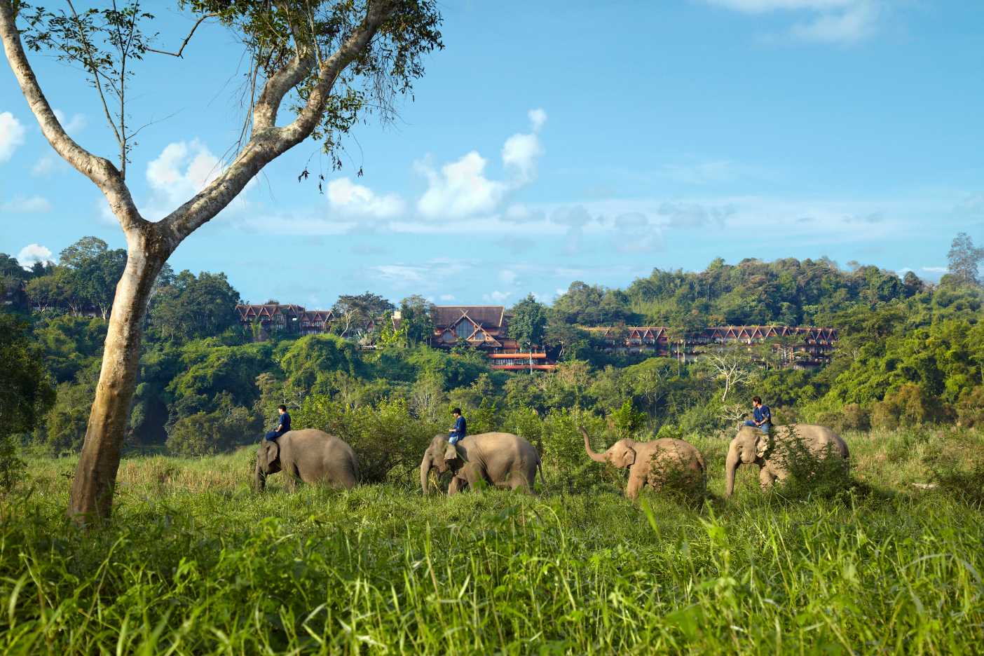 Exploring Northern Thailand