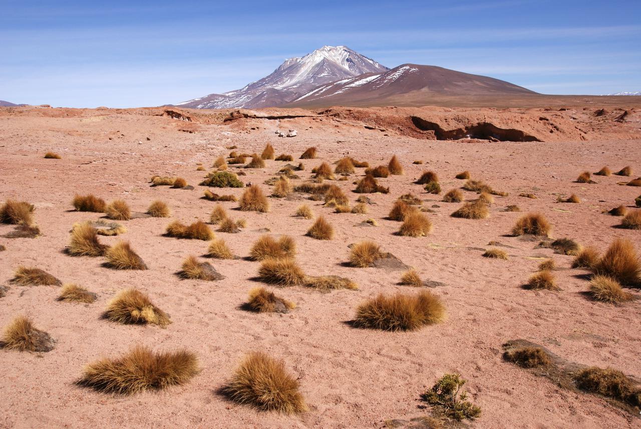 Bolivia: A Land of Extremes