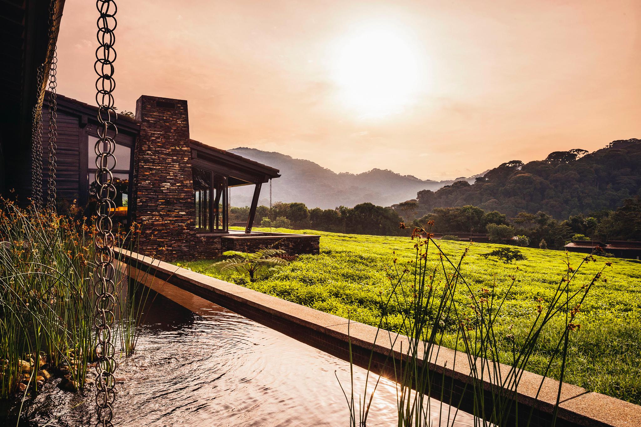 Why Rwanda is Africa’s New Luxury Destination to Watch