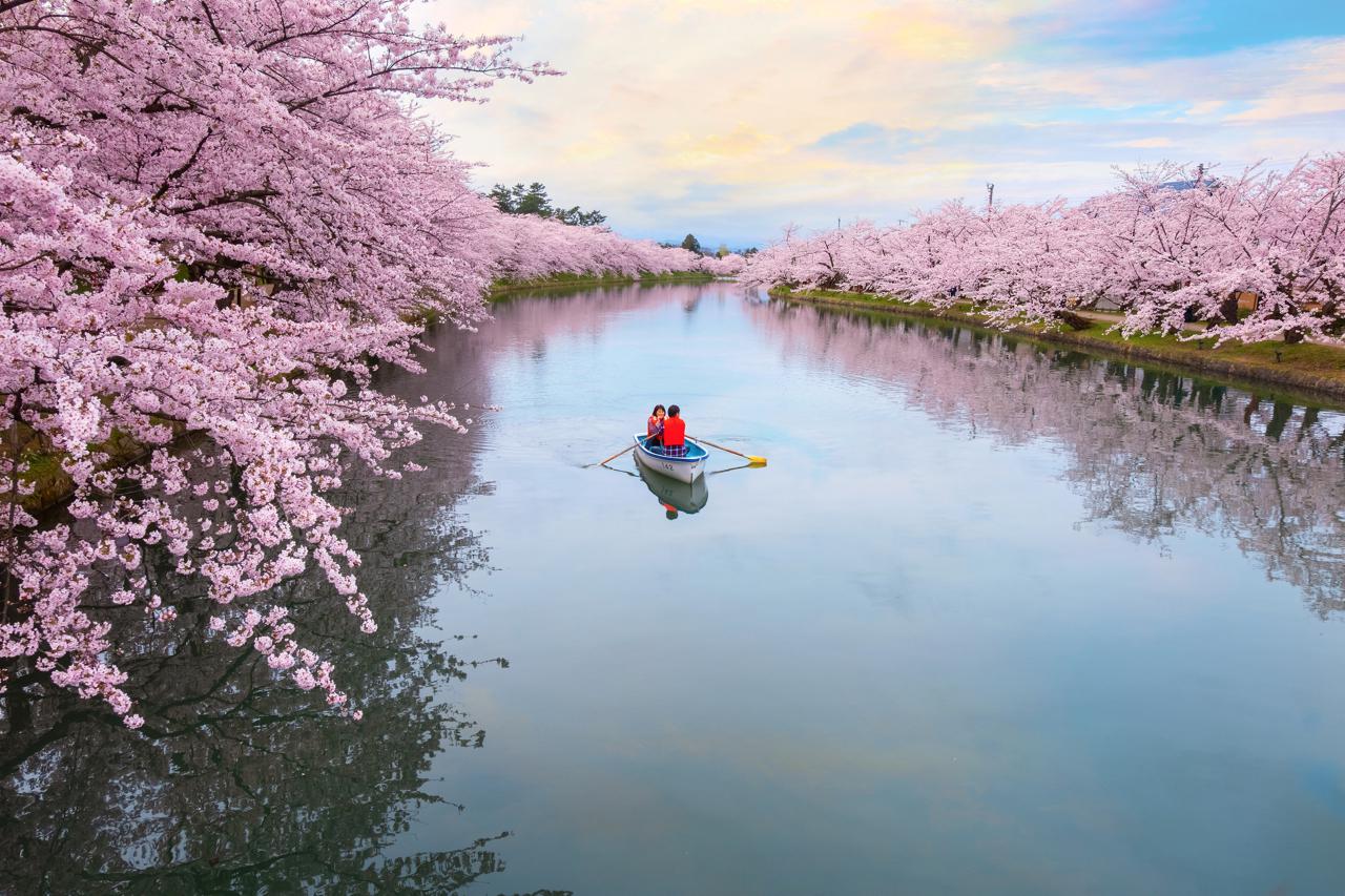 Six Surprising Places to See the Cherry Blossoms in Japan