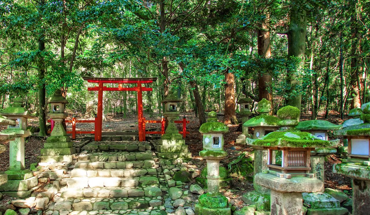 Nara and Wakayama: A Journey Through Authentic Japan