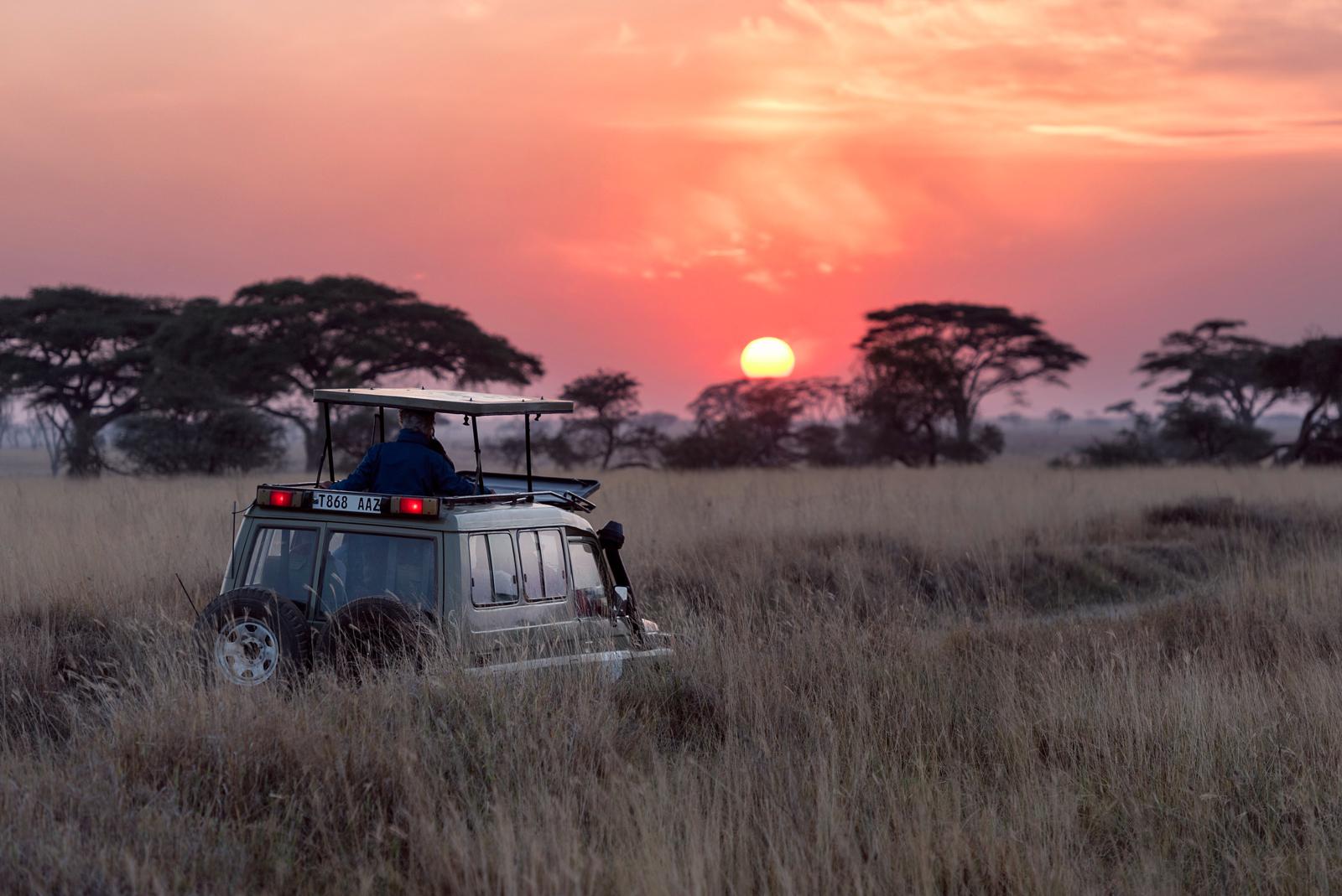 The Best African Safari Destinations for Wildlife Spotting