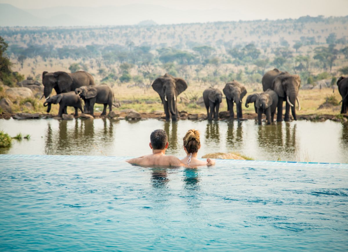 Wildlife meets wellbeing: The best wellness safaris in Africa