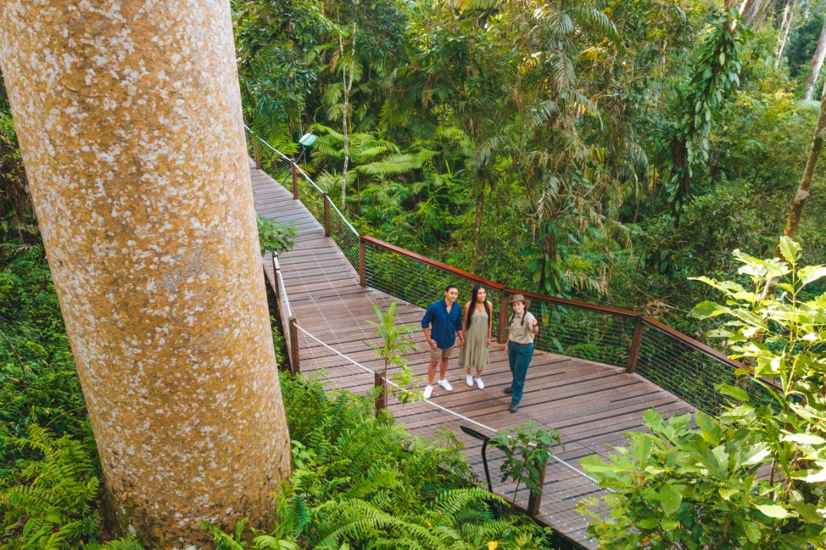 Tropical North Queensland launches its new Sustainable Travel Hub