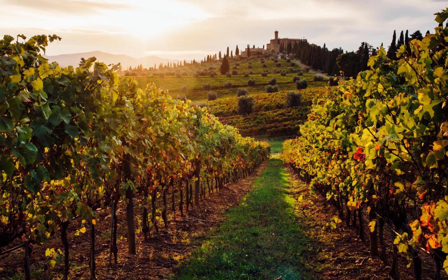 Four of Italy’s most underrated wine regions