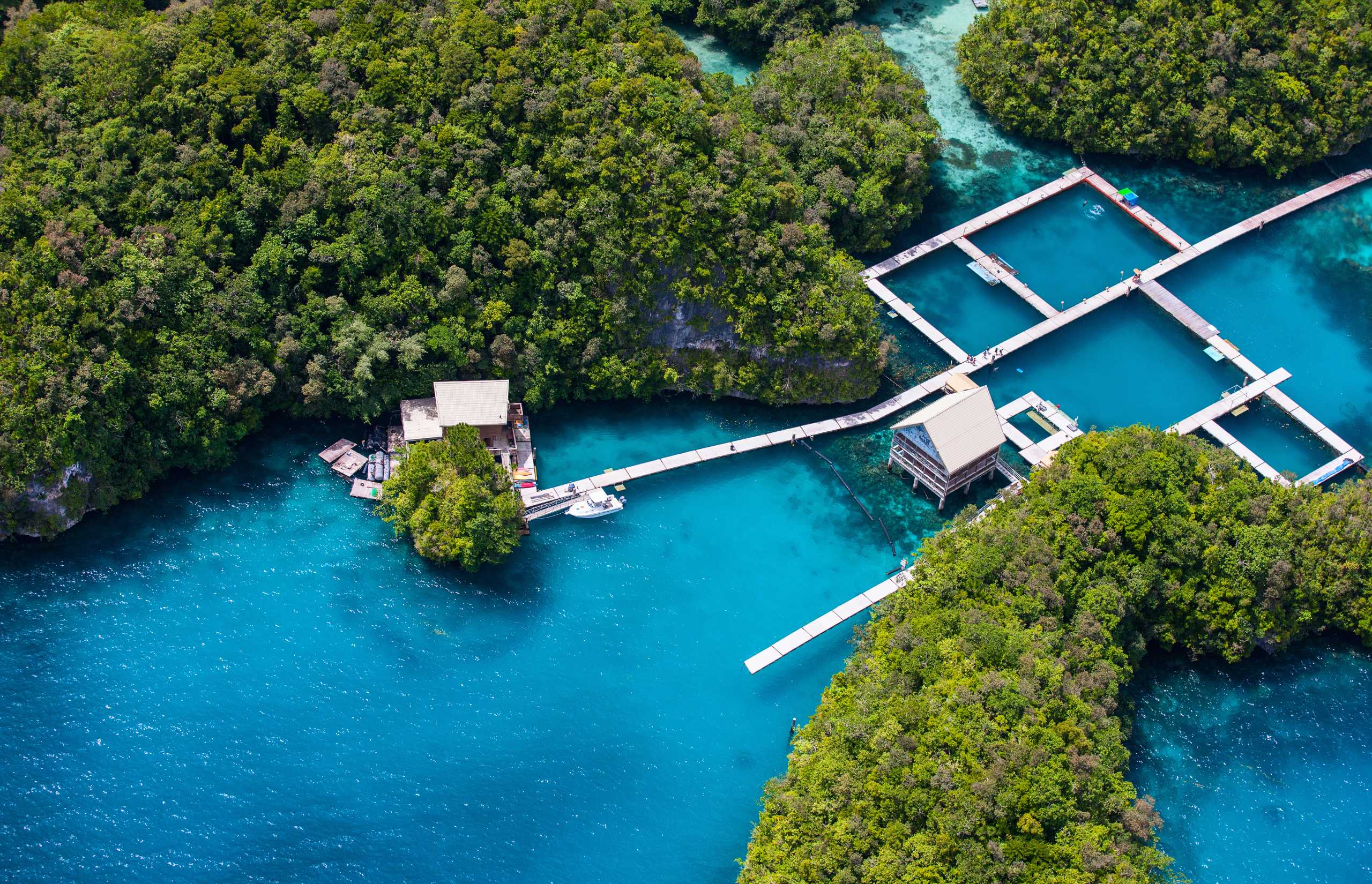 Four Seasons Explorer - Palau