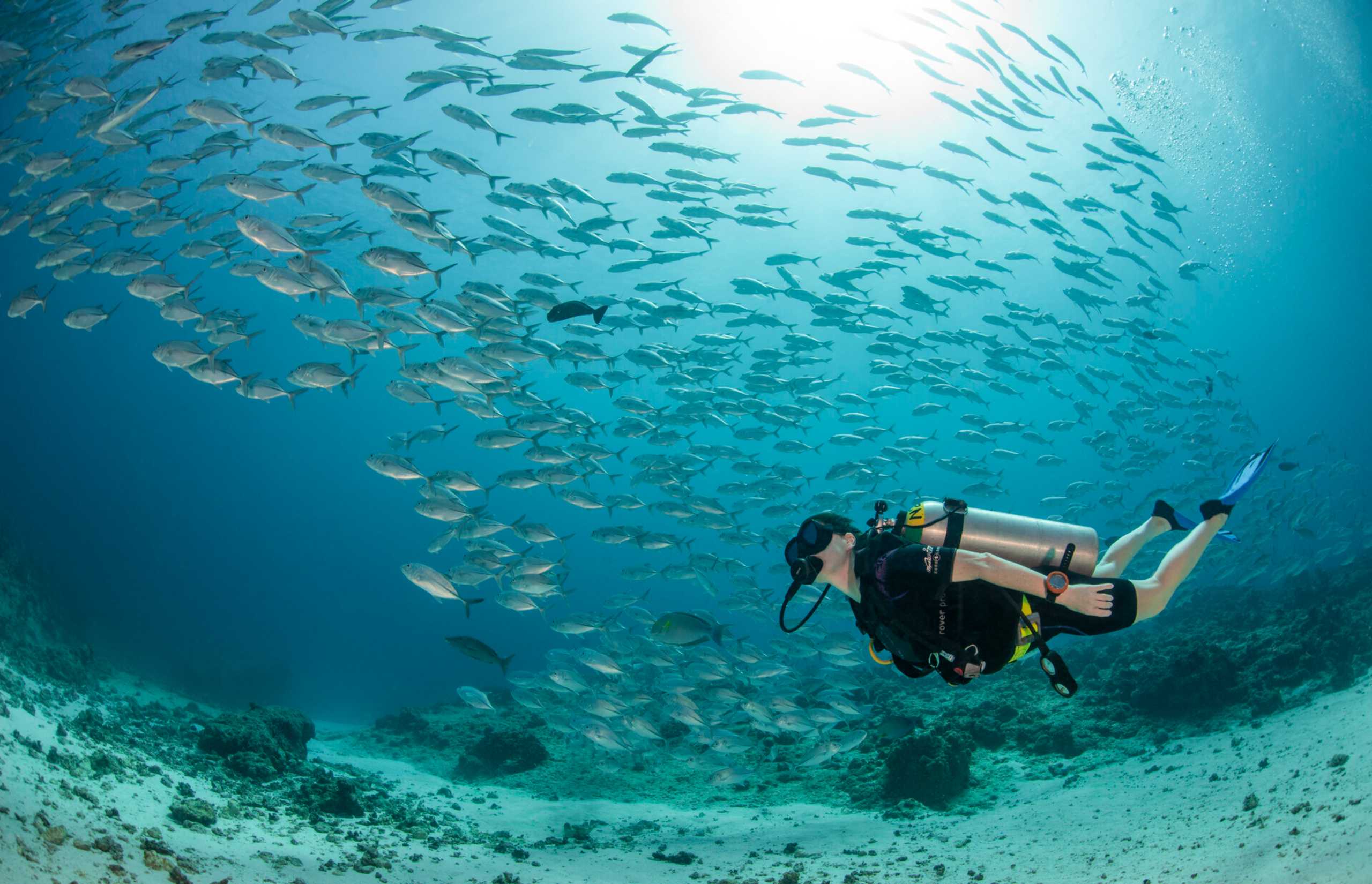 Four Seasons Explorer - Palau