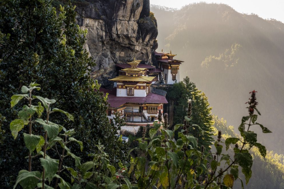 Celebrating 50 years of tourism in Bhutan: A journey of cultural and natural heritage