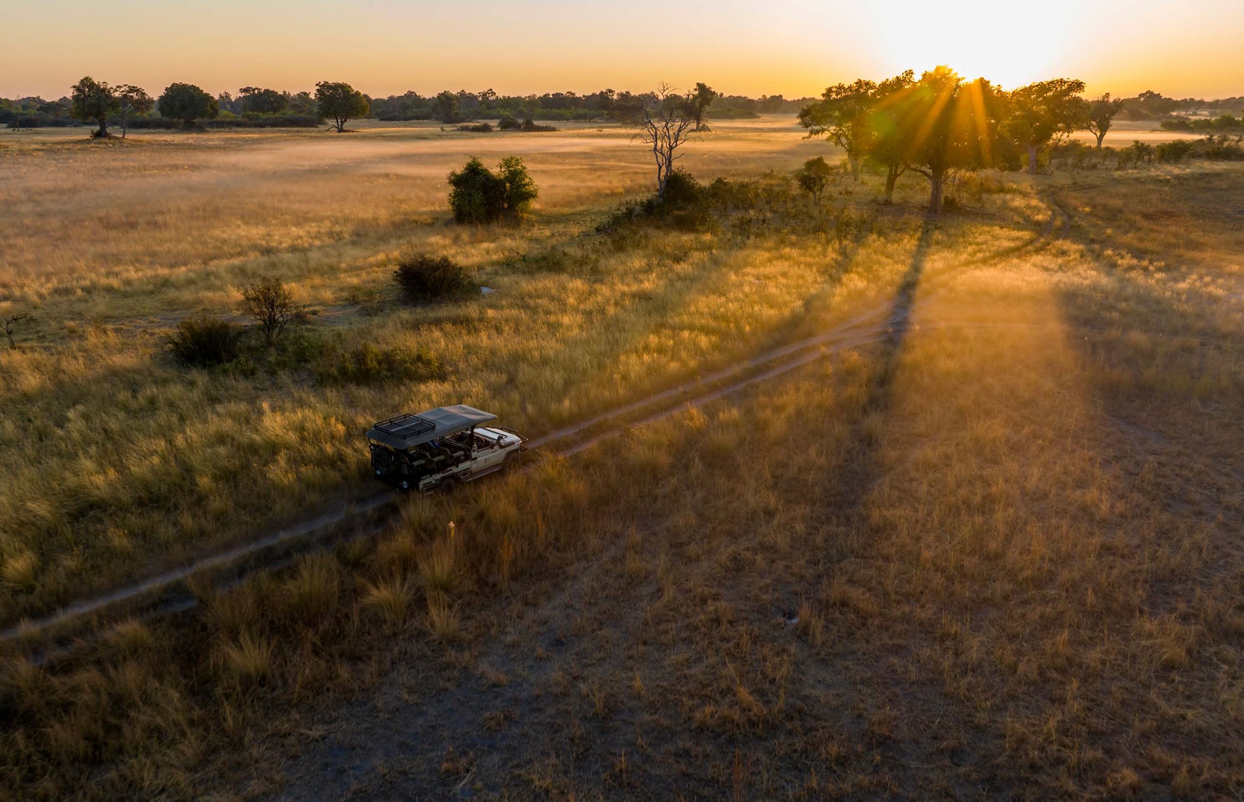 A wild awakening in Botswana