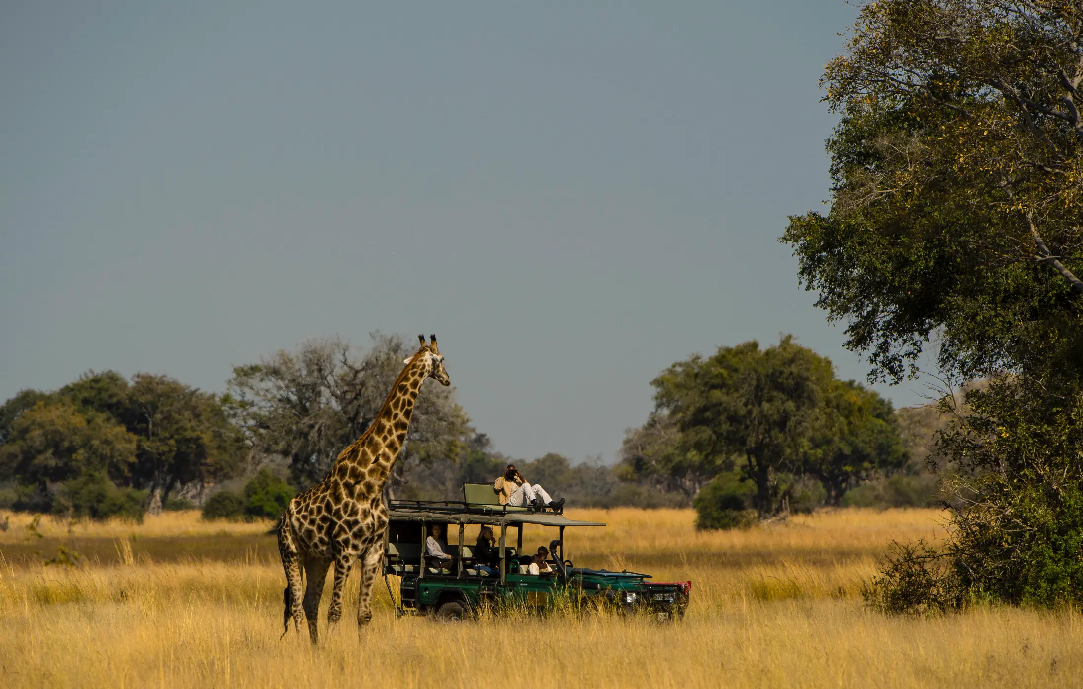 Dukes East Game Drive | Credit: Natural Selection