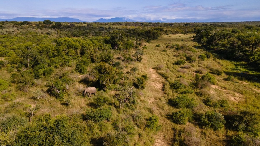 Sabi Sabi Collection Riverbed & Ellie