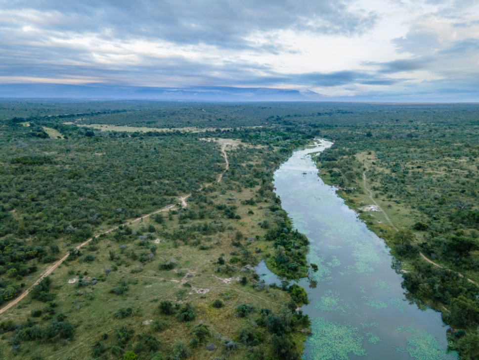 Sabi Sabi Private Game Reserve Rebrands as Sabi Sabi Collection