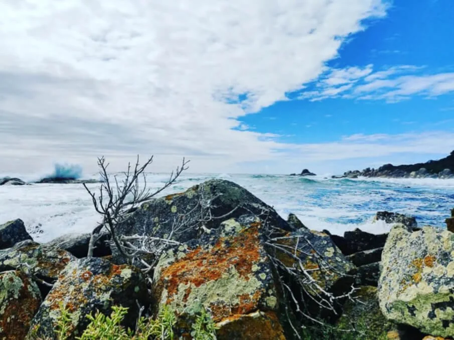 wukalina Walk Tasmania named one of the world’s great cultural experiences wukalina Walk Tasmania named one of the world’s great cultural experiences