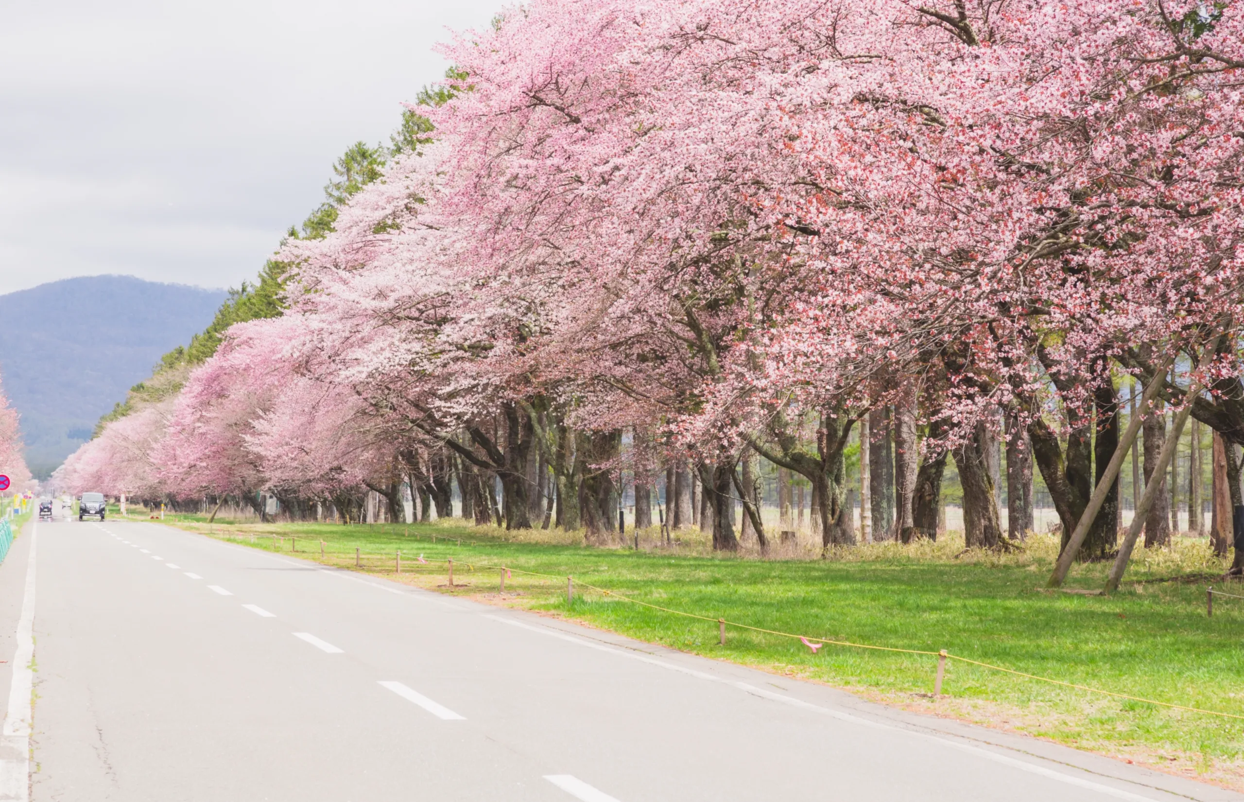 Why you should visit Hokkaido in the green season