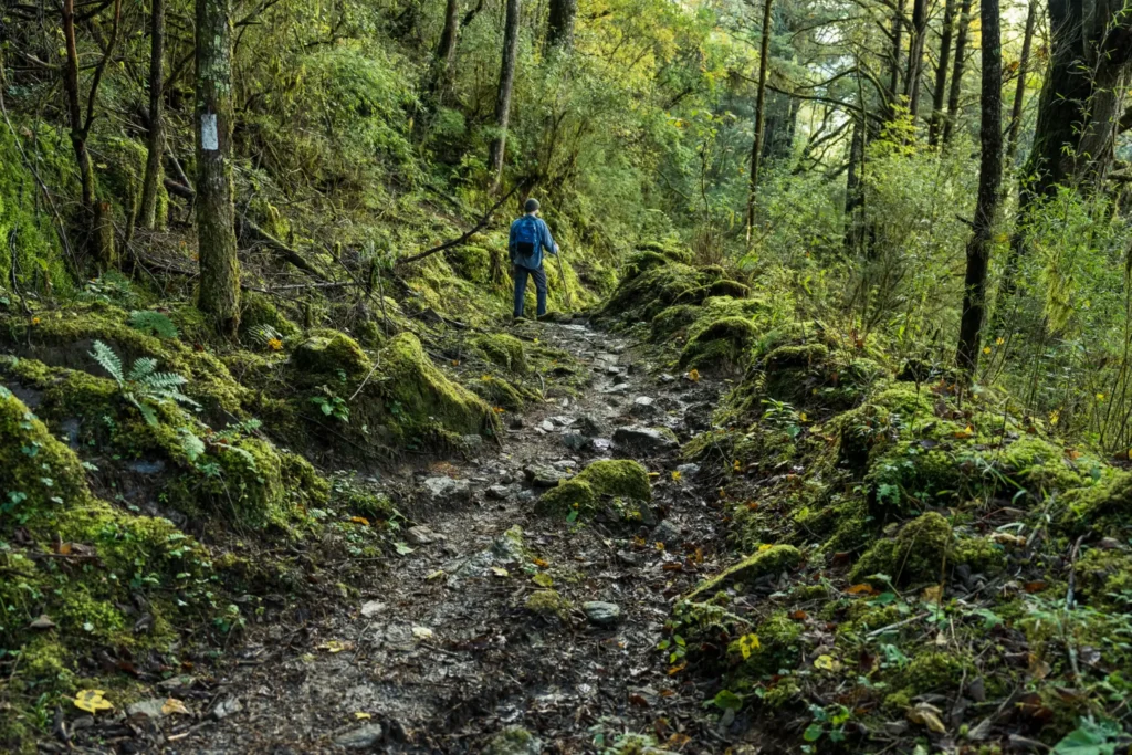 Trekking and transformative Wellness Experiences in Bhutan.