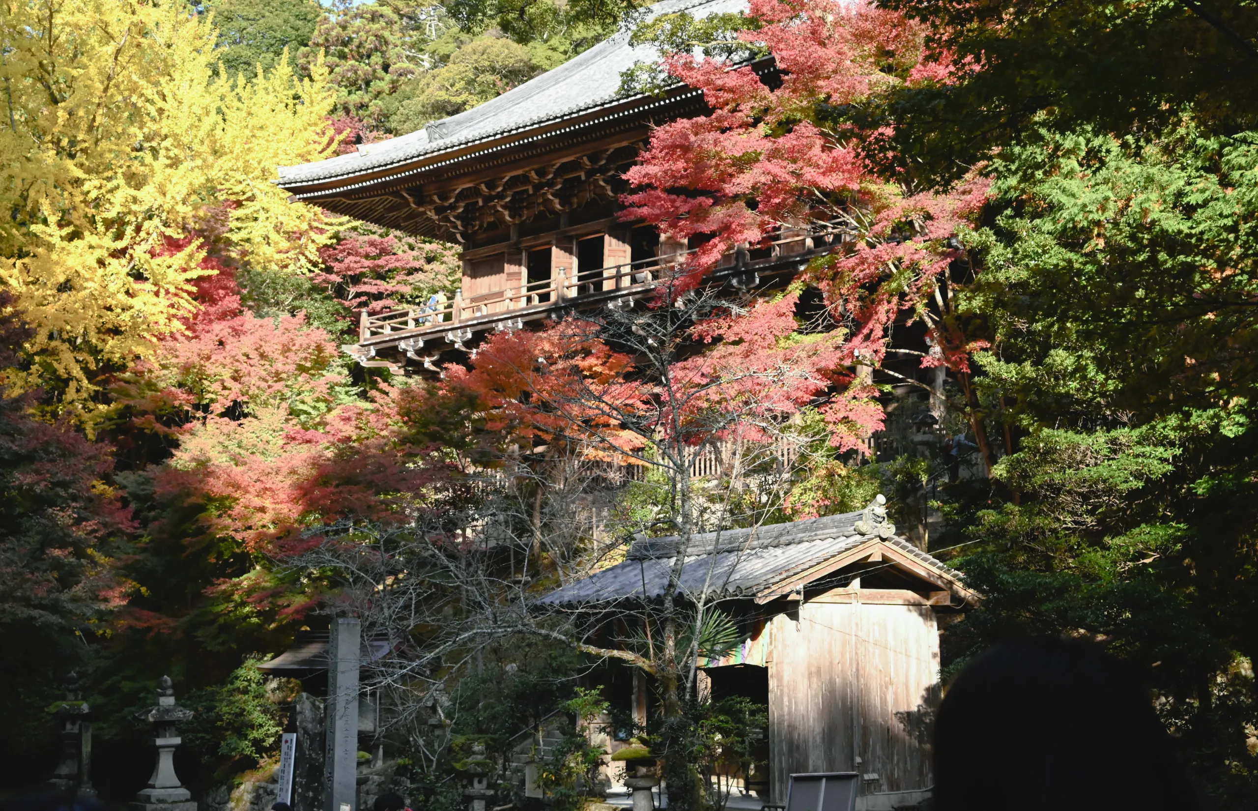 Engawa Global - Himeji, Japan