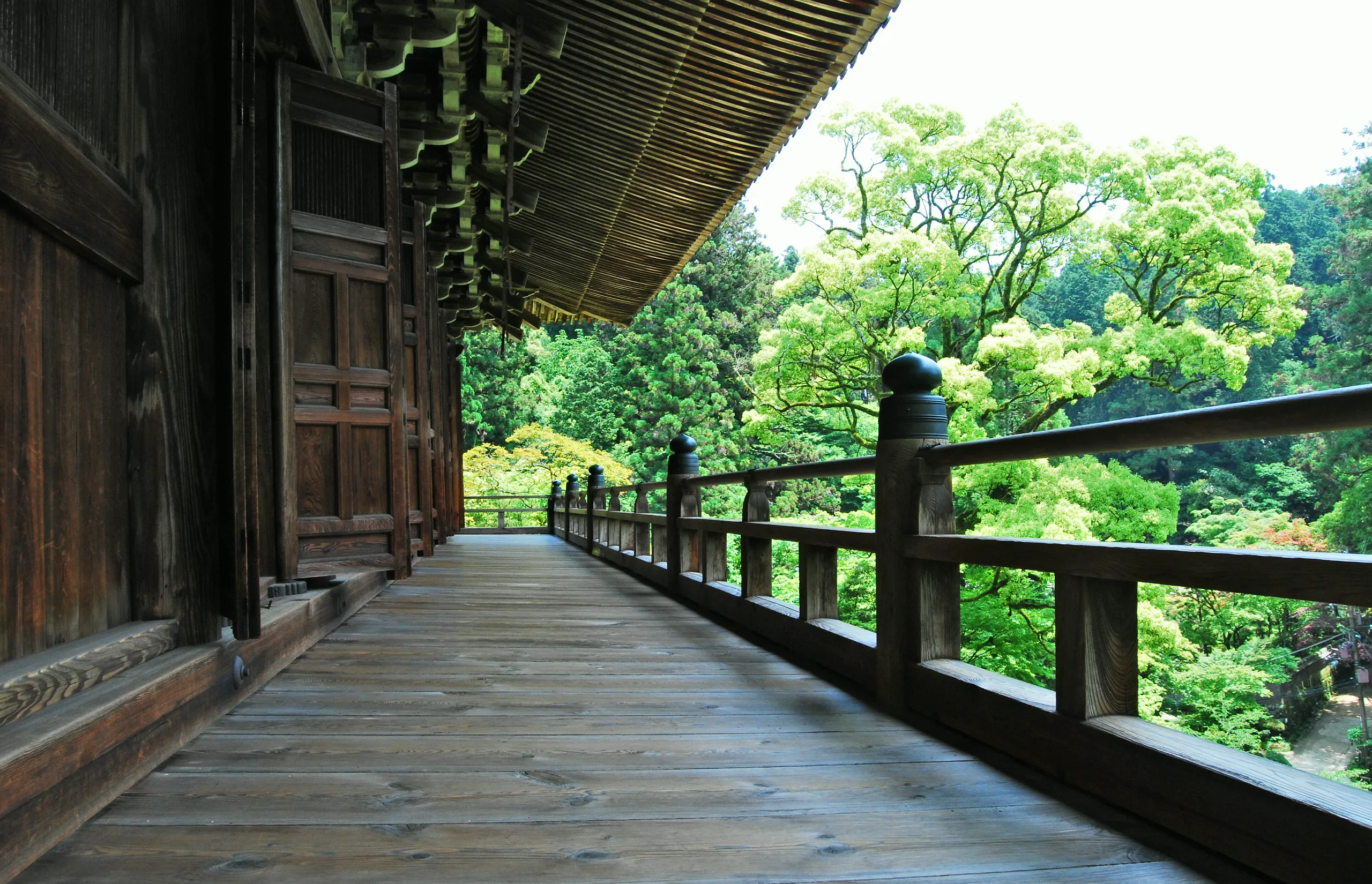 Engawa Global - Himeji, Japan