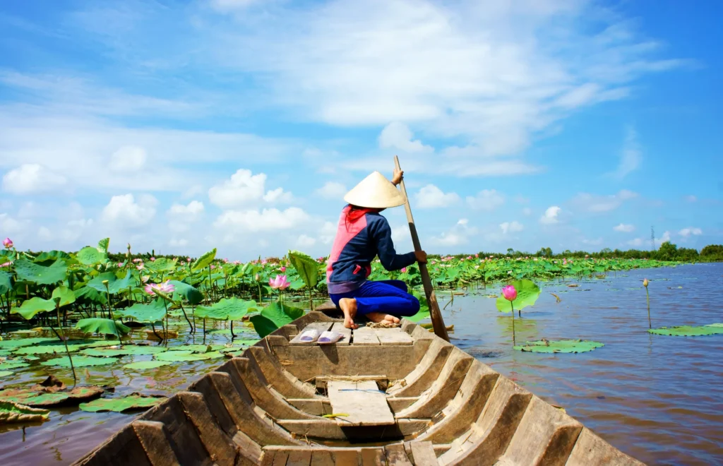 Mekong River with Scenic Spirit - Lotus Flowers