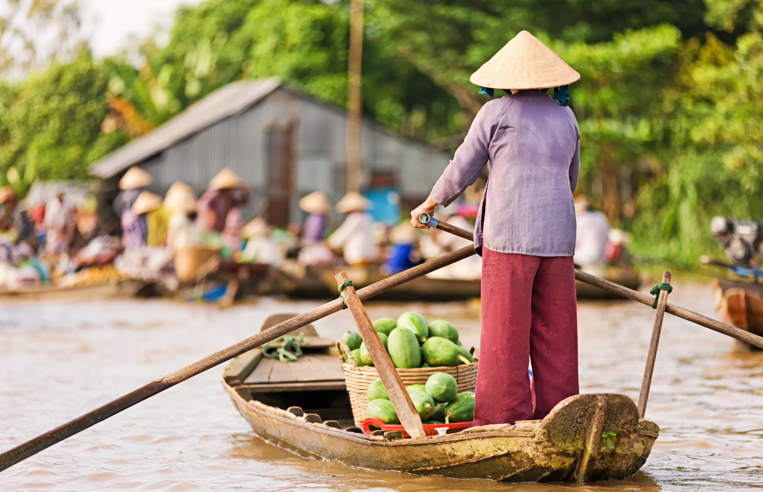 Mekong River with Scenic - Delta