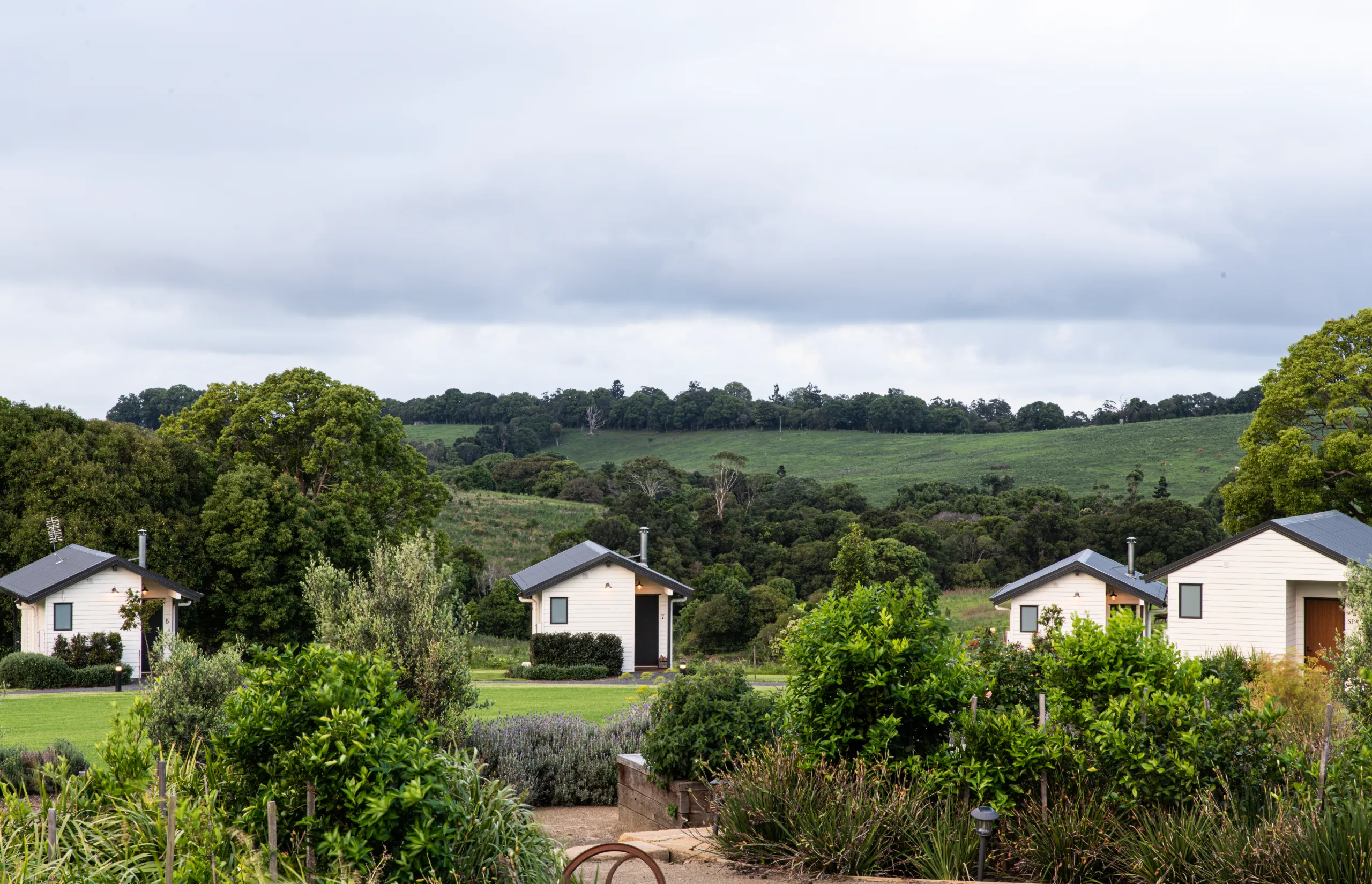 Beechmont Estate