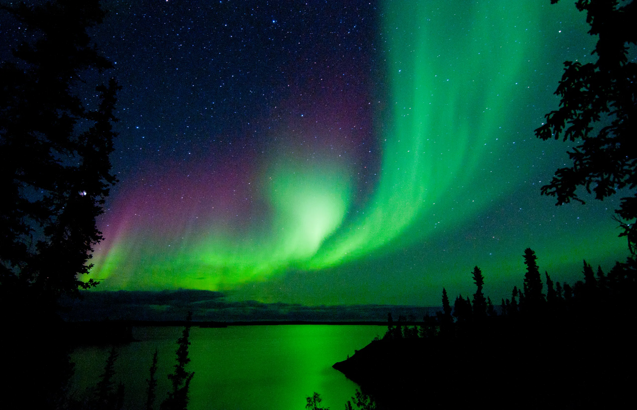 Northern Lights - Blachford Lake Northwest Territories