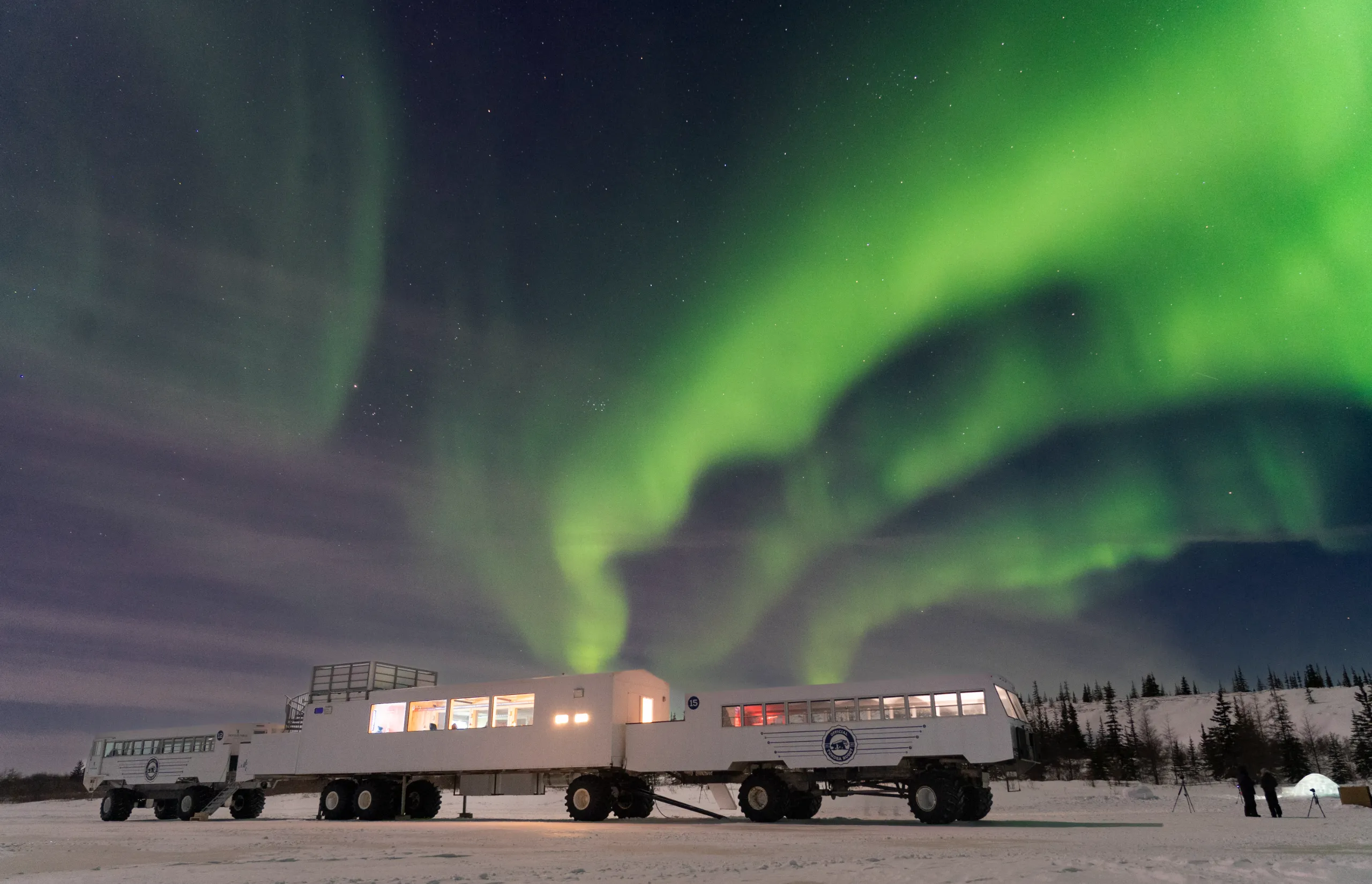 Northern Lights - Frontiers North Adventures Churchill March 2022 Credit Travel Manitoba