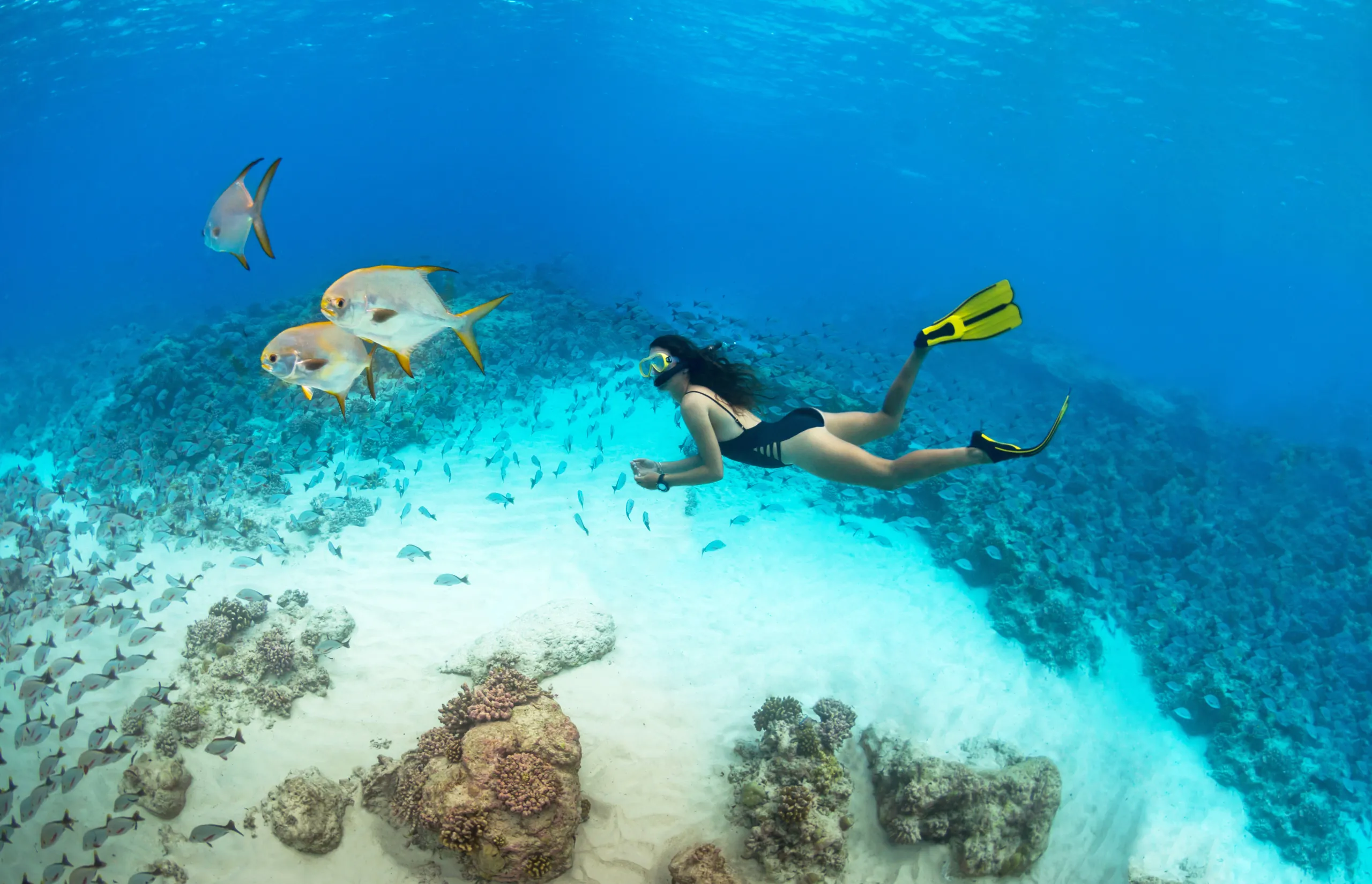 Luxury Travel Summer 2025 issue - Alphonse Island | Snorkeling