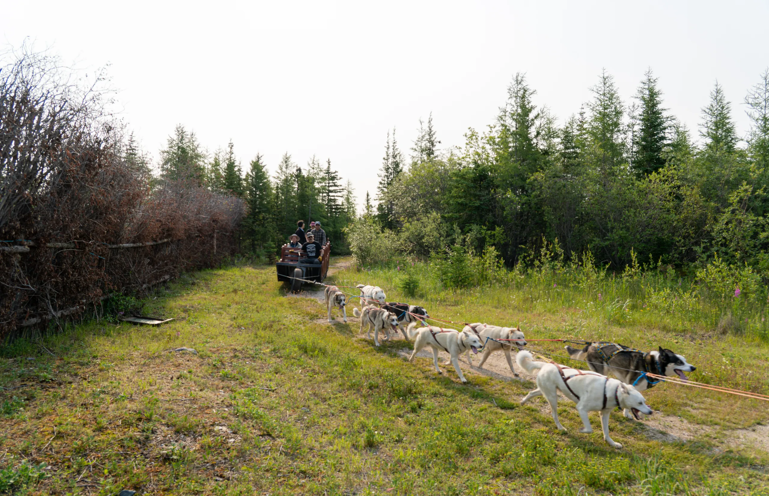 Churchill - Wapusk Adventures Frontiers North Adventures Tour JUL 2023 Credit Travel Manitoba