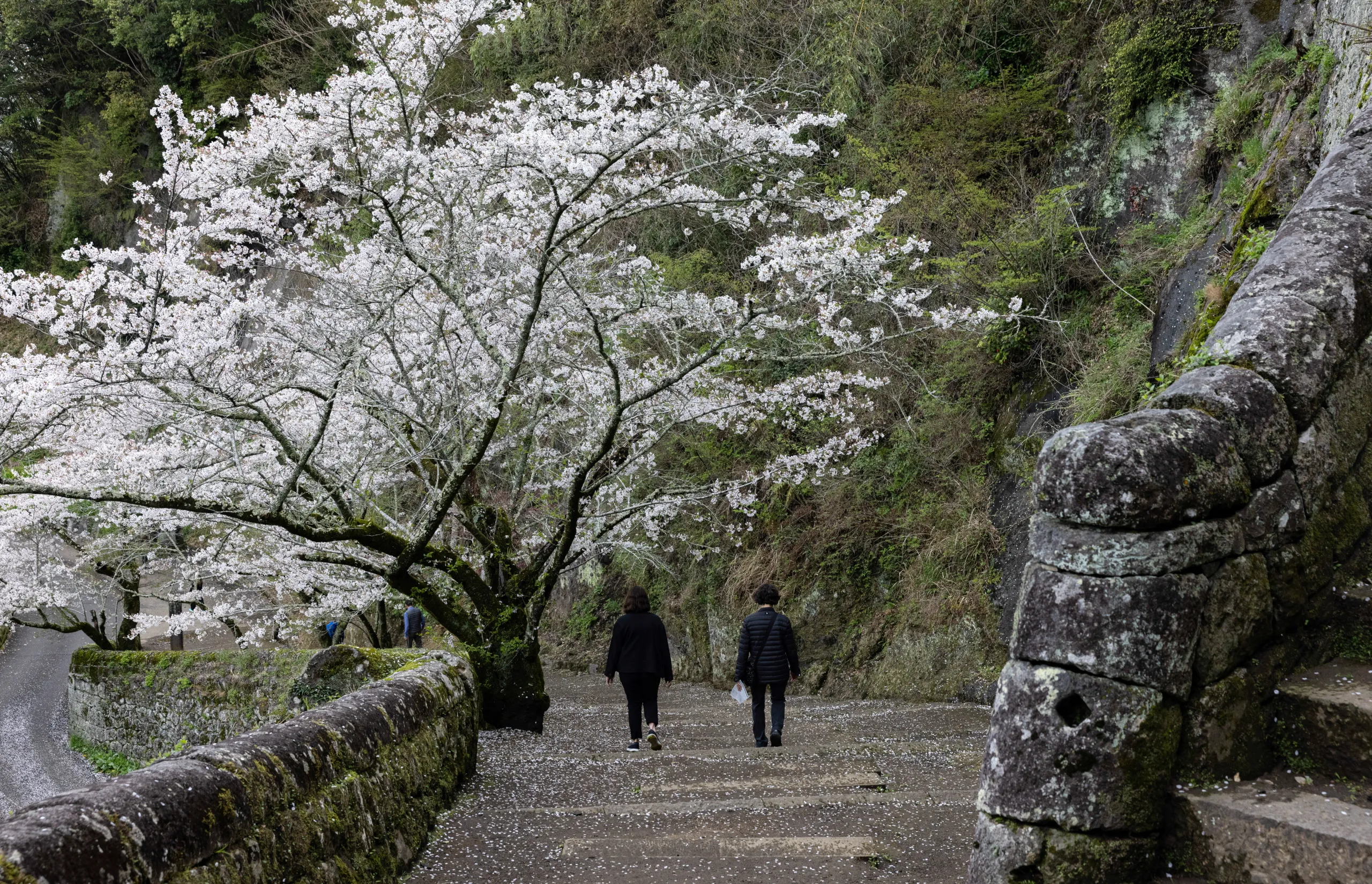 Walk Japan - #23 Luxury Travel Walk Japan story ©Jocelyn Pride