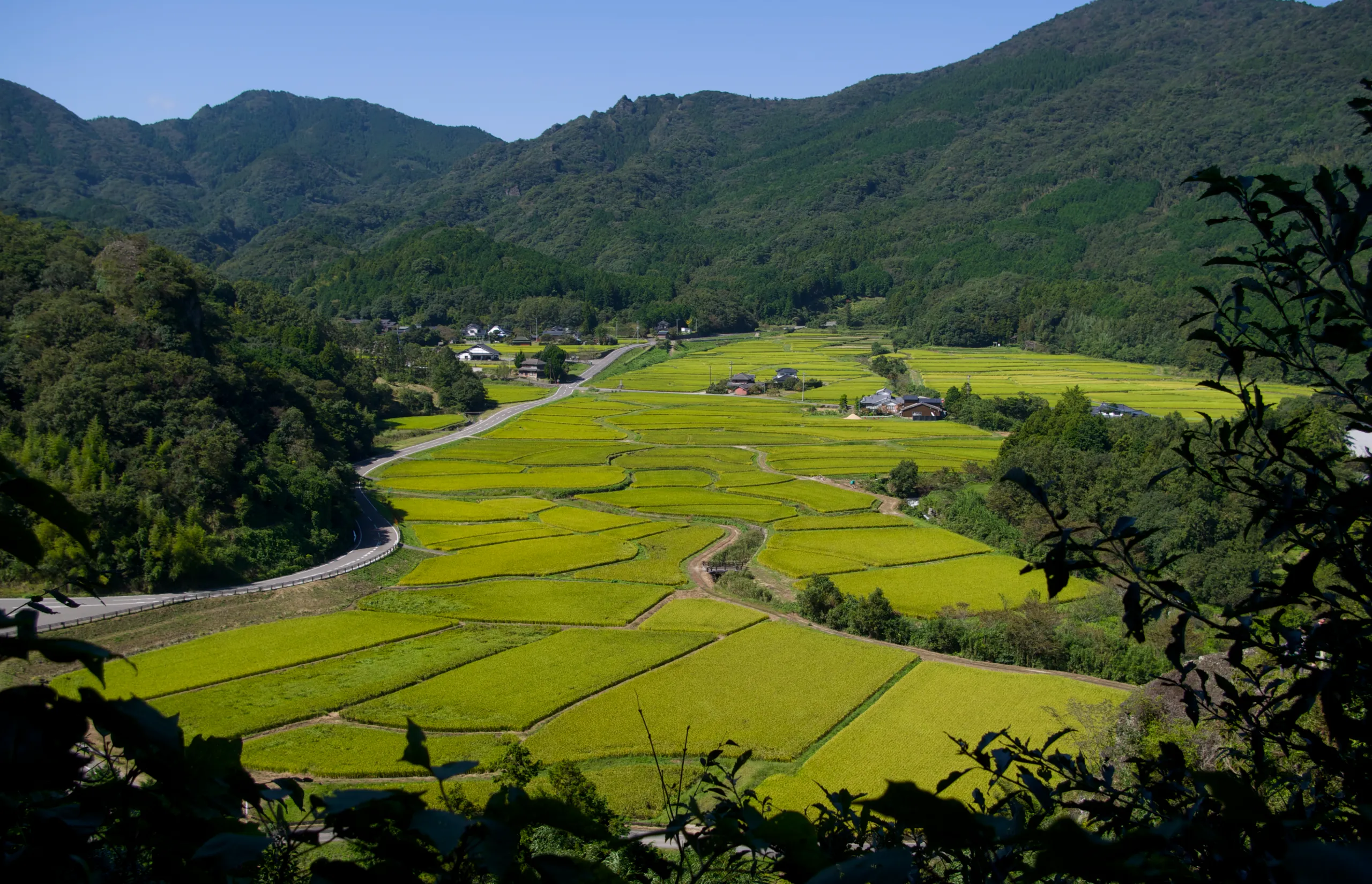 Walk Japan - Kunisaki Yufuin Walk Tashibunosho