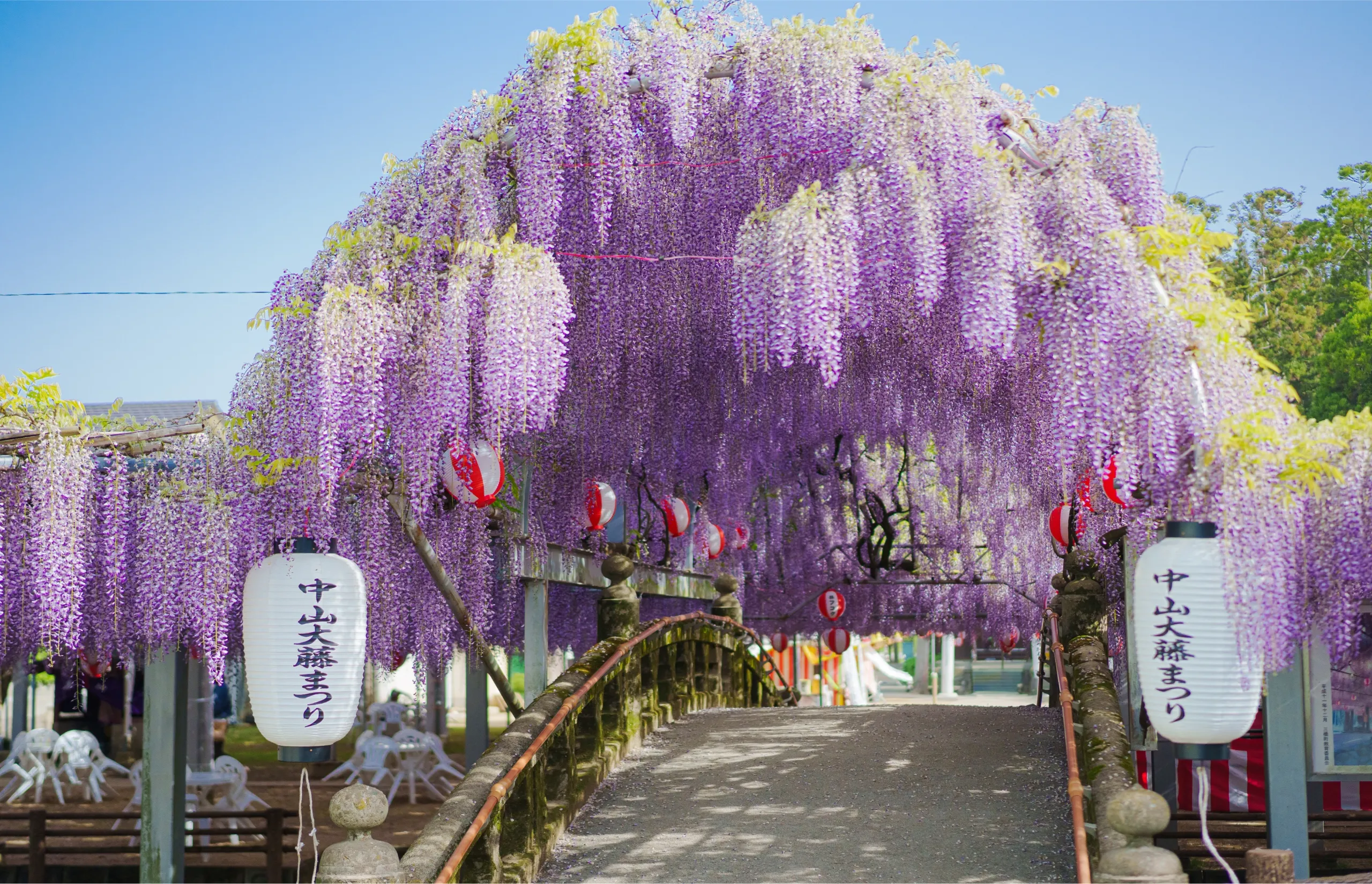 The surprising Japanese destination where fine food, serene waterways and dazzling temples await The surprising Japanese destination where fine food, serene waterways and dazzling temples await