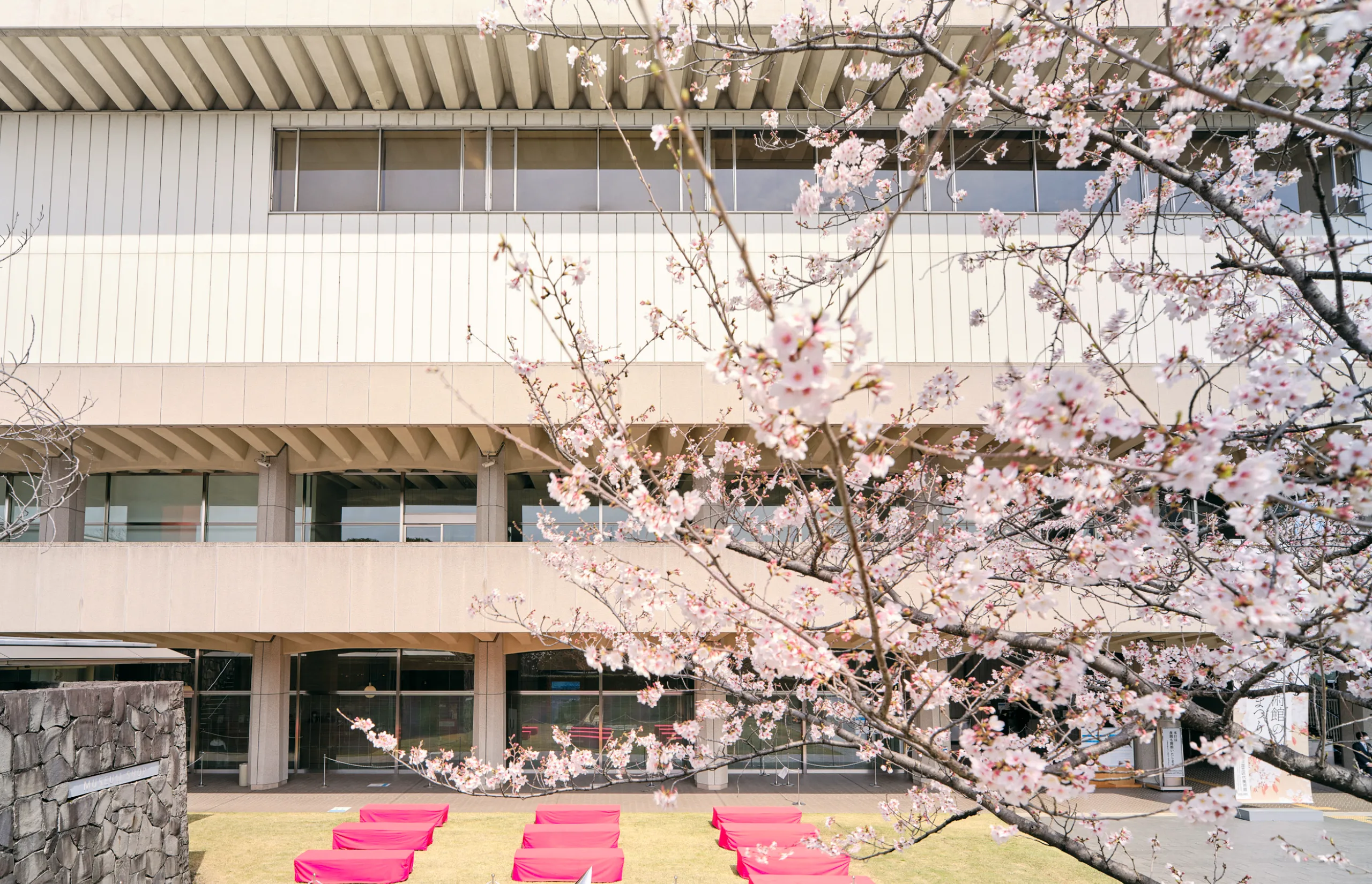 Art and nature unite during Japan’s stunning cherry blossom season