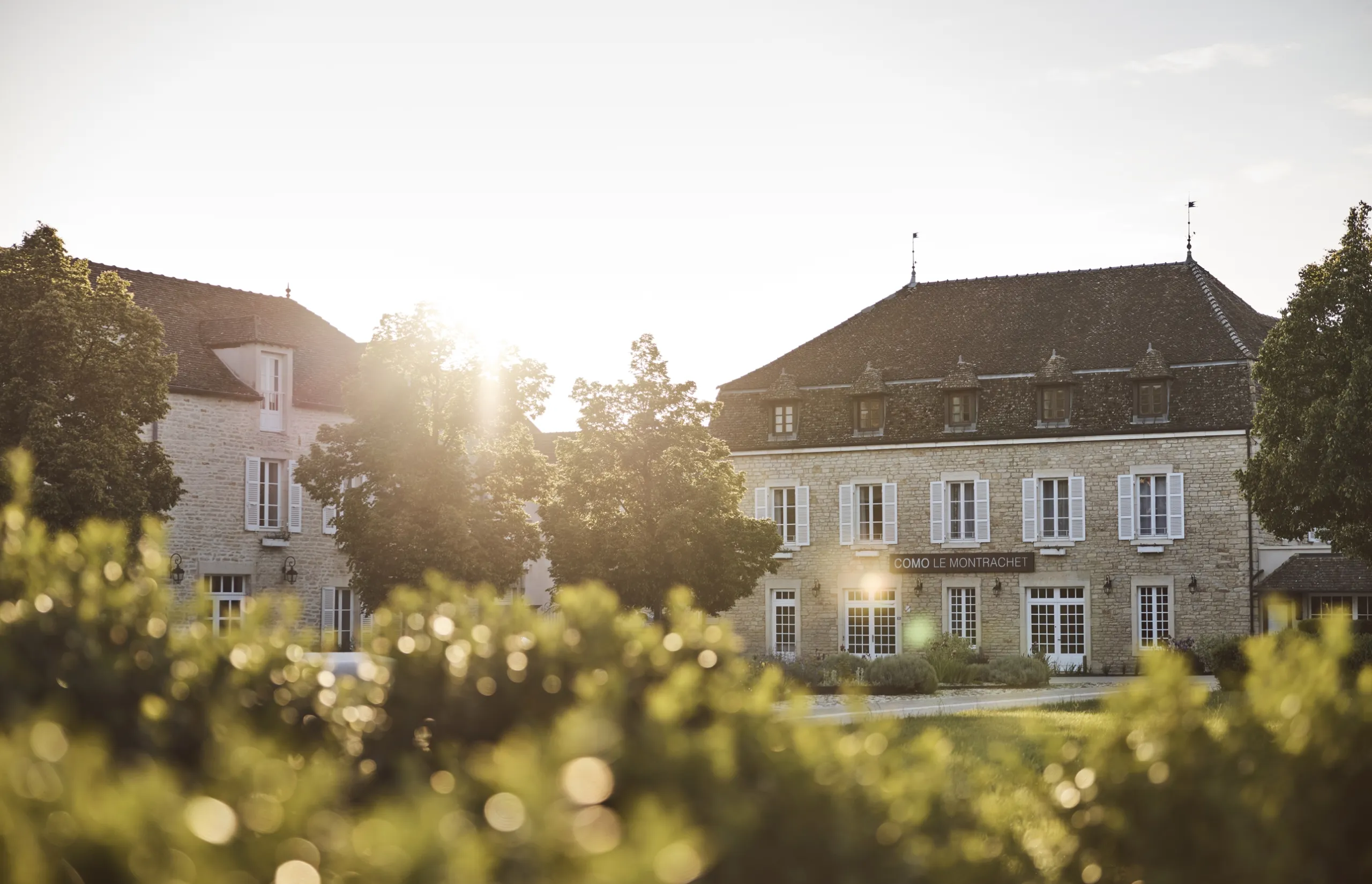 Decadent degustations and vineyard views at COMO Le Montrachet Decadent degustations and vineyard views at COMO Le Montrachet