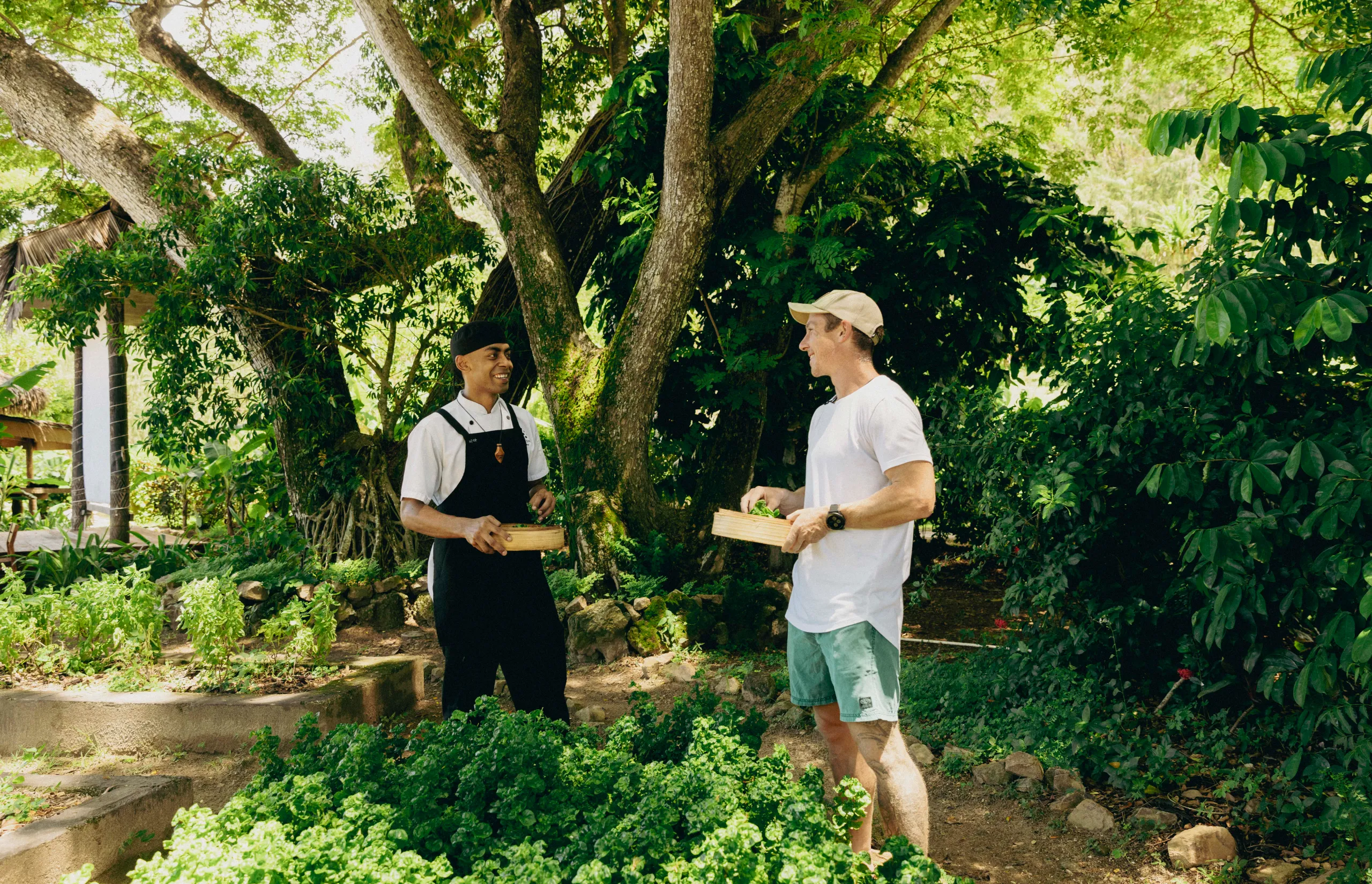 Fiji - Tom herb and veg garden at Six Senses