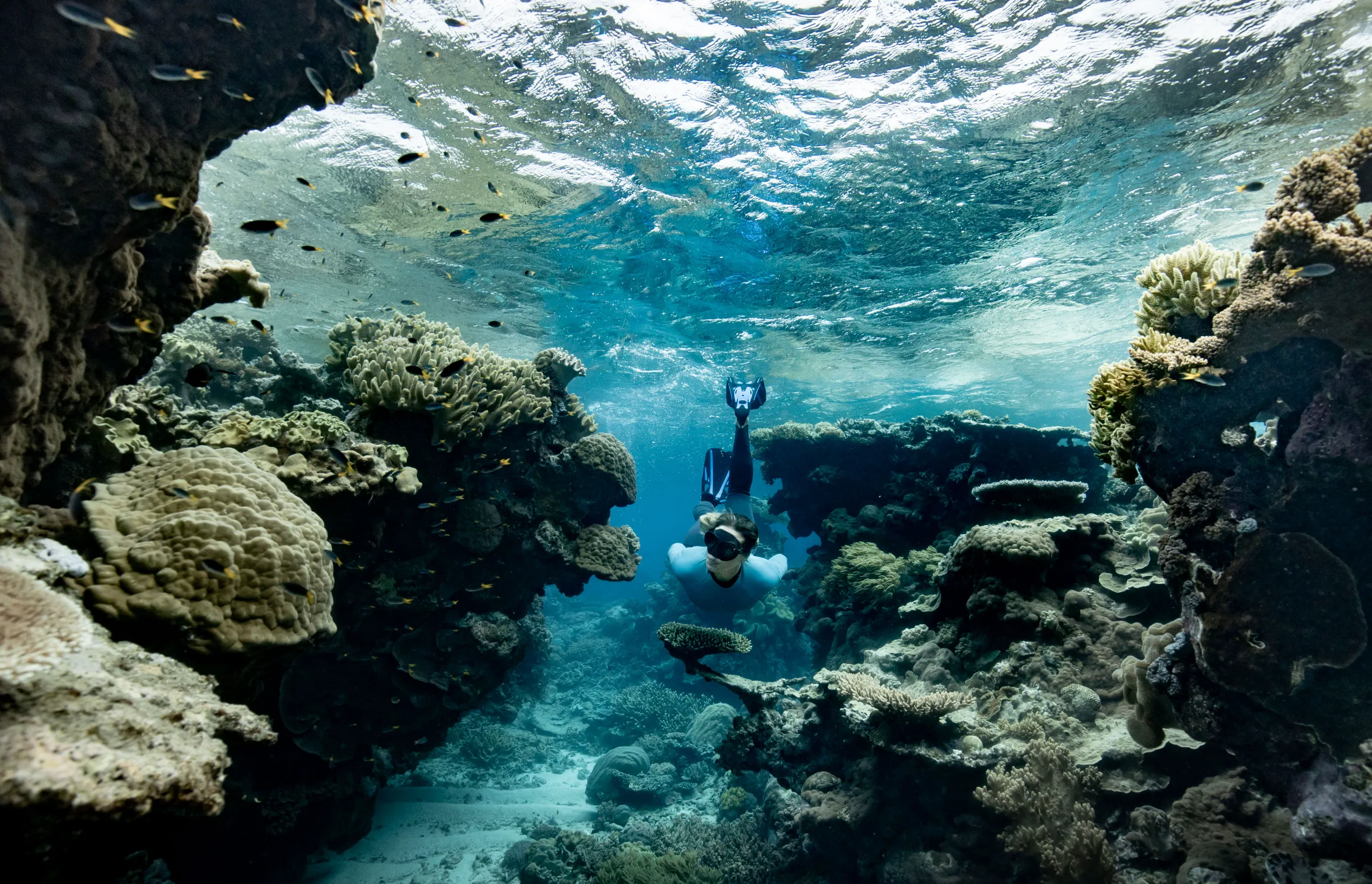 Sustainability - GBR Biology marine biologist Brittany Wassing alongside the Reef Magic Pontoon at Moore Reef on the Great Barrier Reef. Image Luke Marsden