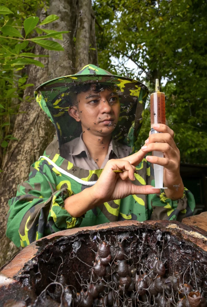 Sustainability - The Datai Langkawi - Stingless Beehives
