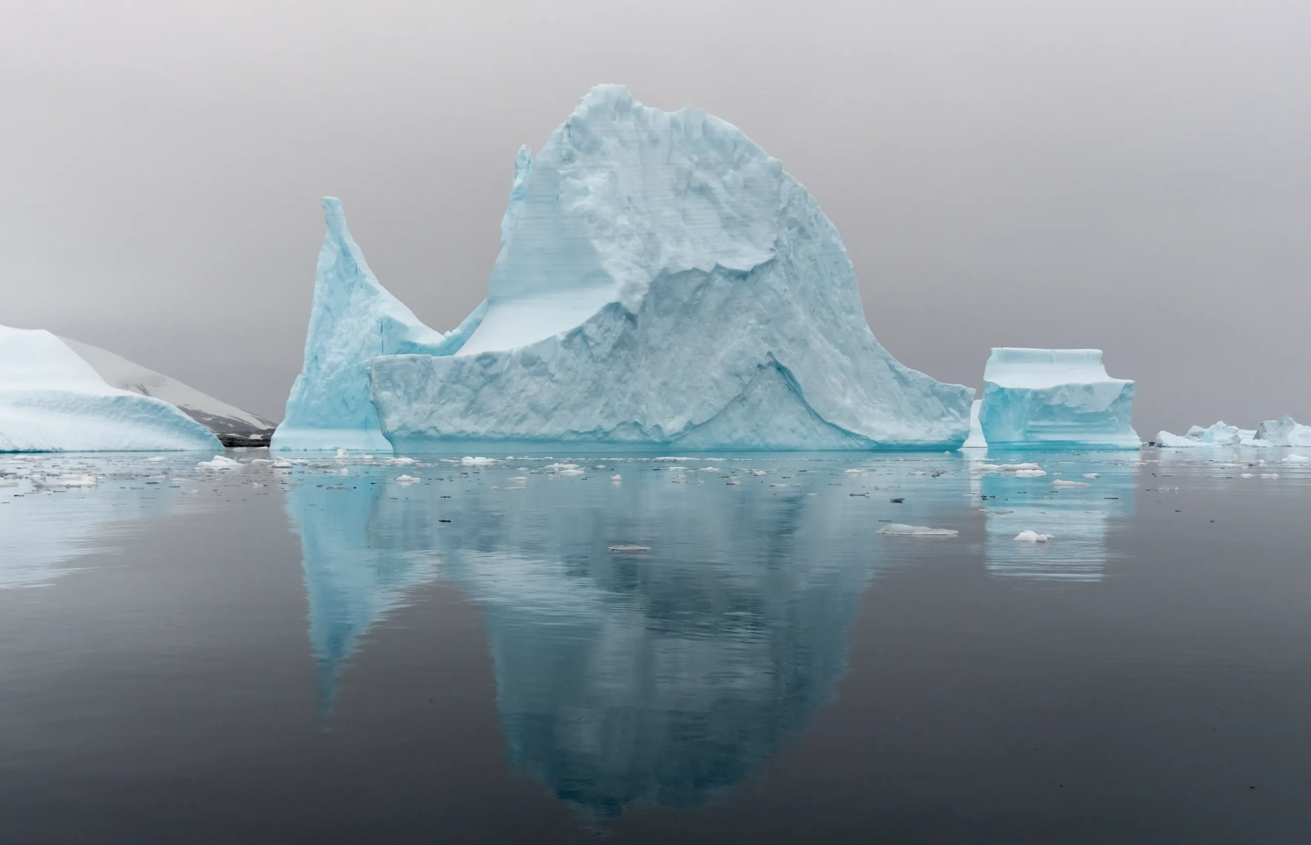 Silversea - Antarctica