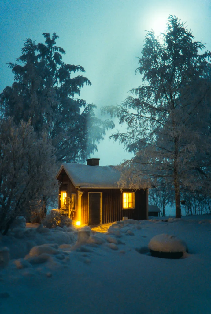Finland Winter Forest Bathing